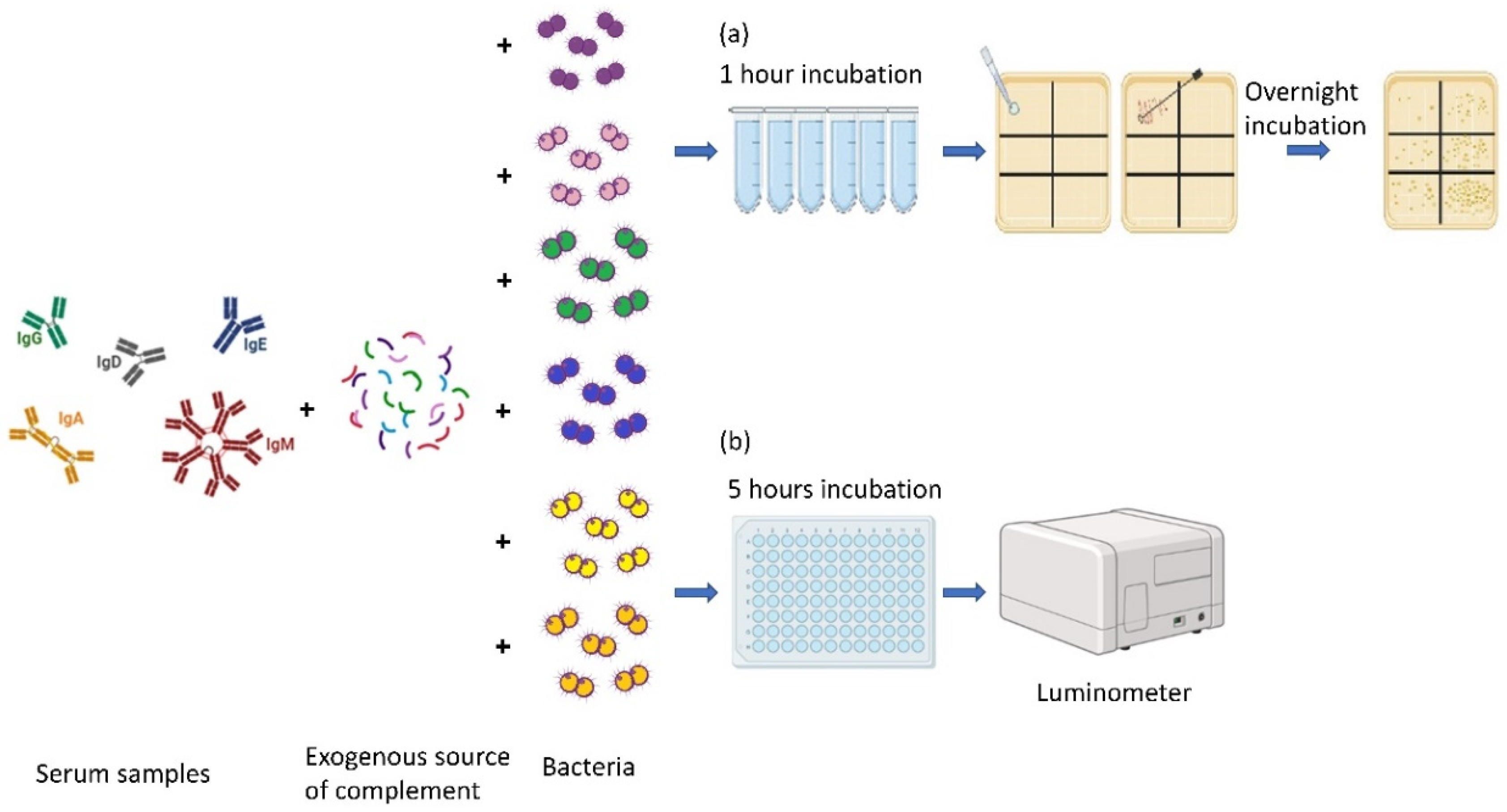 Microorganisms 13 00595 g001