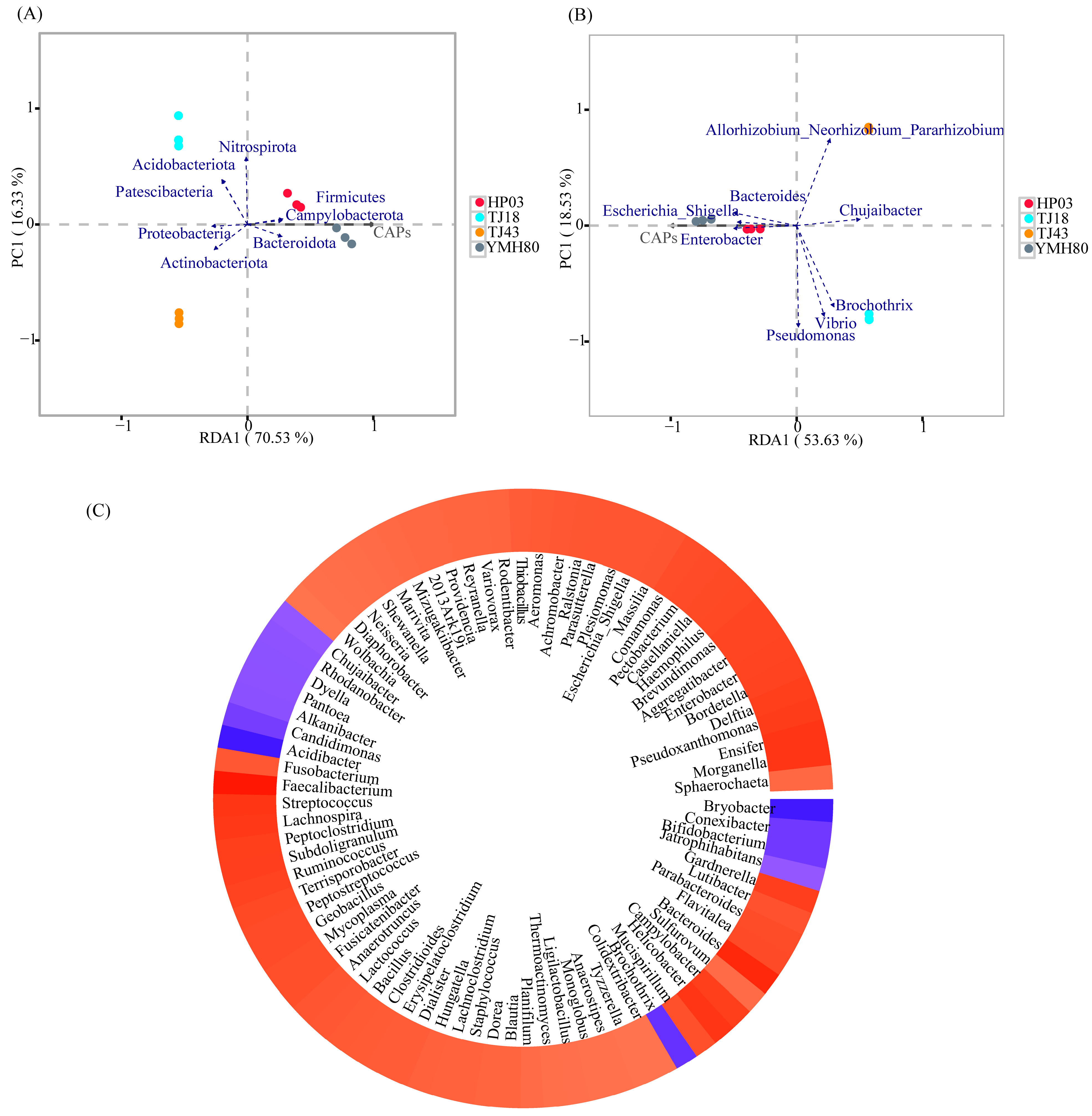 Microorganisms 13 00596 g004