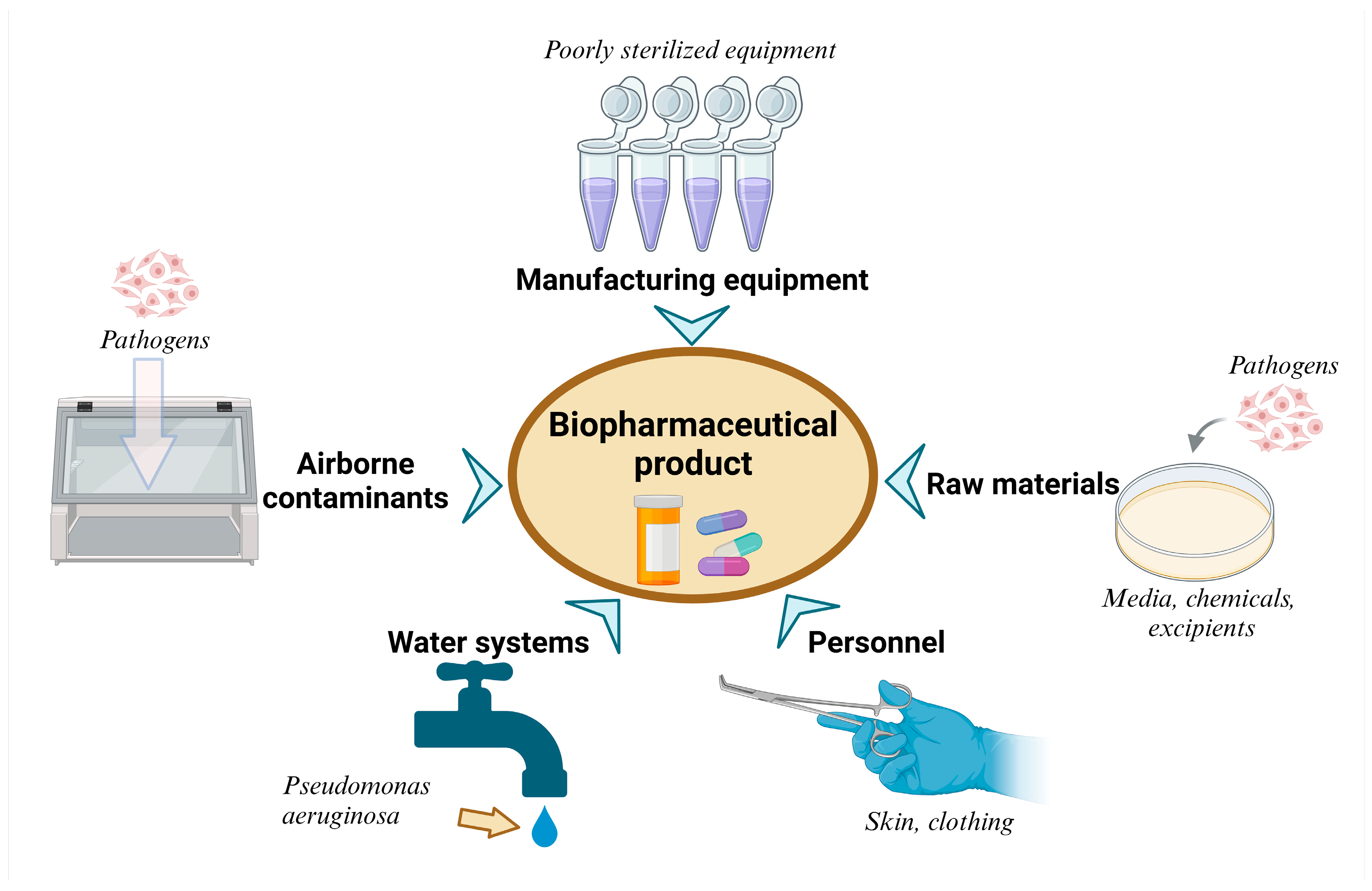 Microorganisms 13 00599 g003