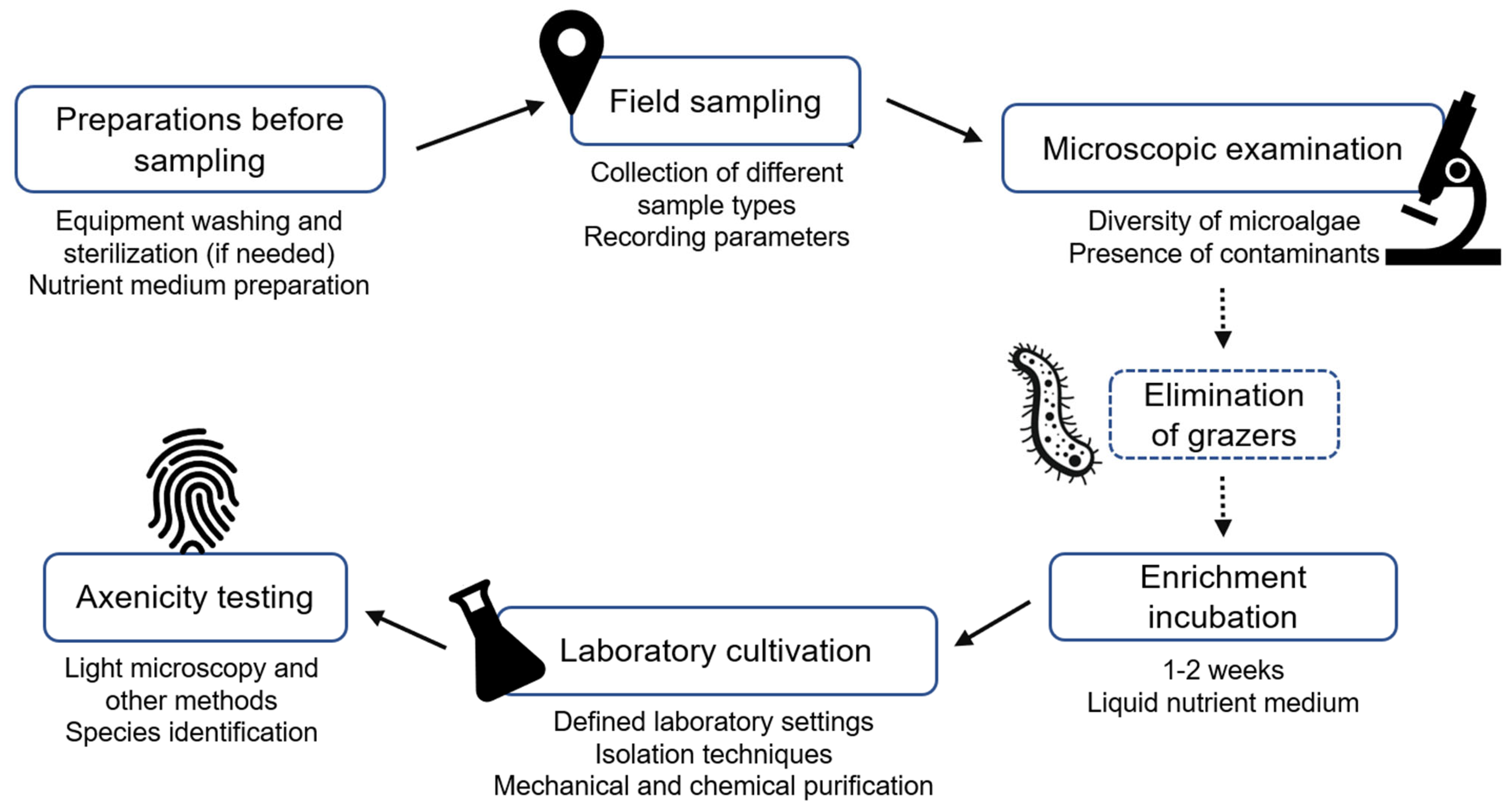 Microorganisms 13 00603 g003