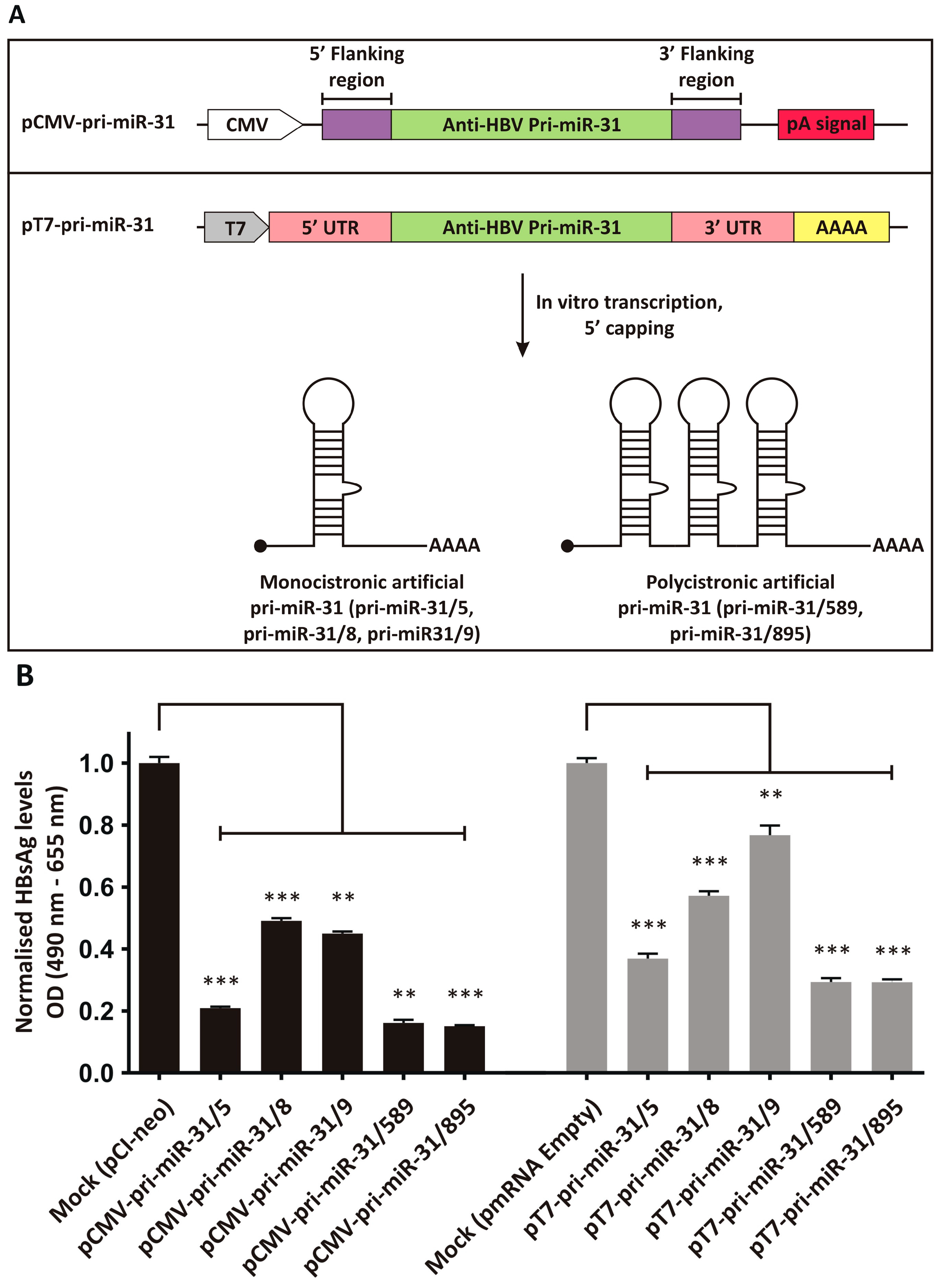 Microorganisms 13 00604 g001