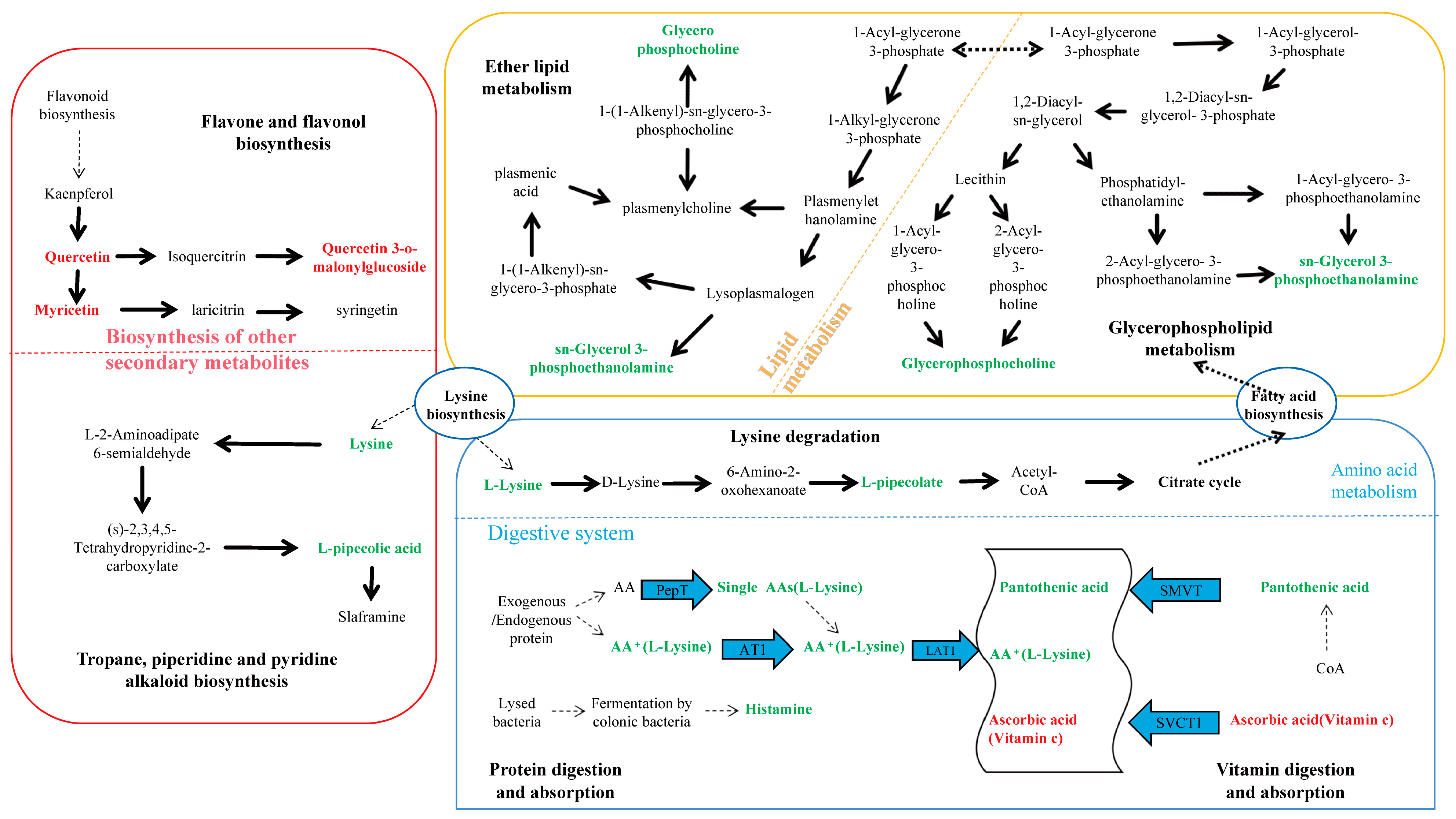 Microorganisms 13 00608 g005