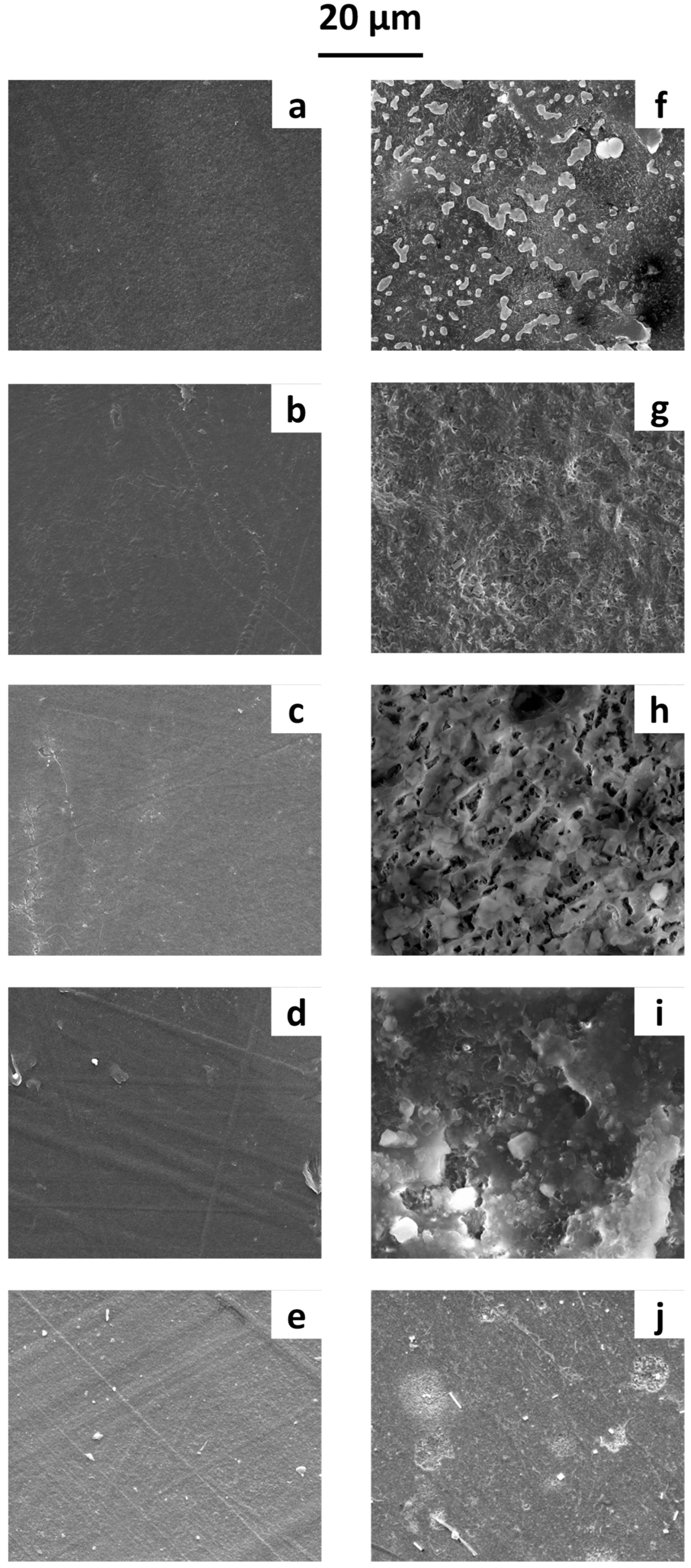 Microorganisms 13 00609 g002