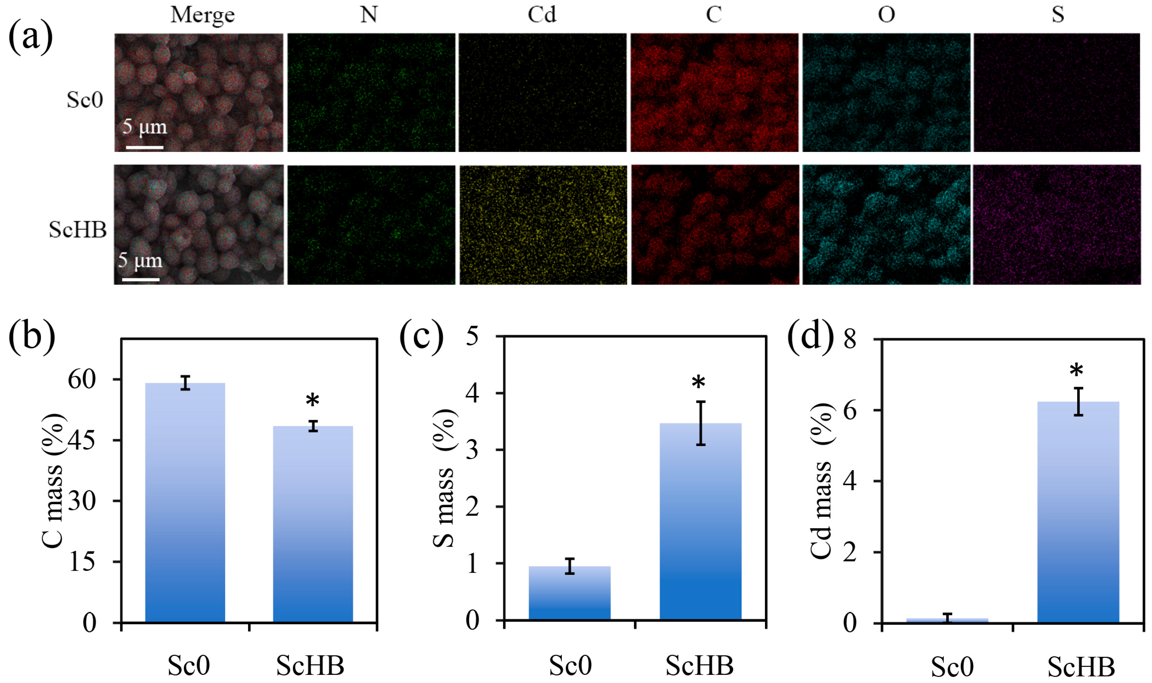 Microorganisms 13 00612 g003