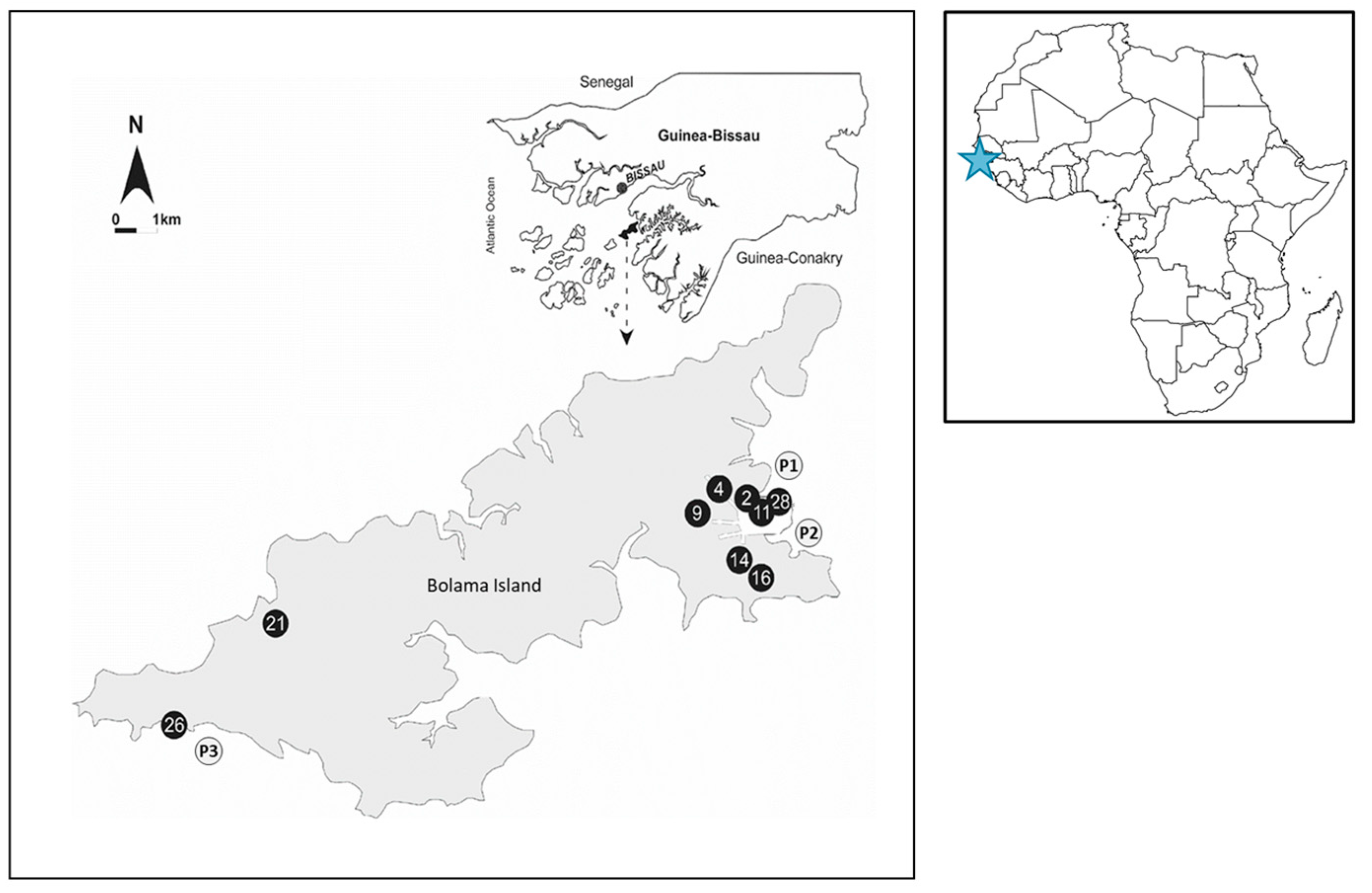 Microorganisms 13 00620 g001