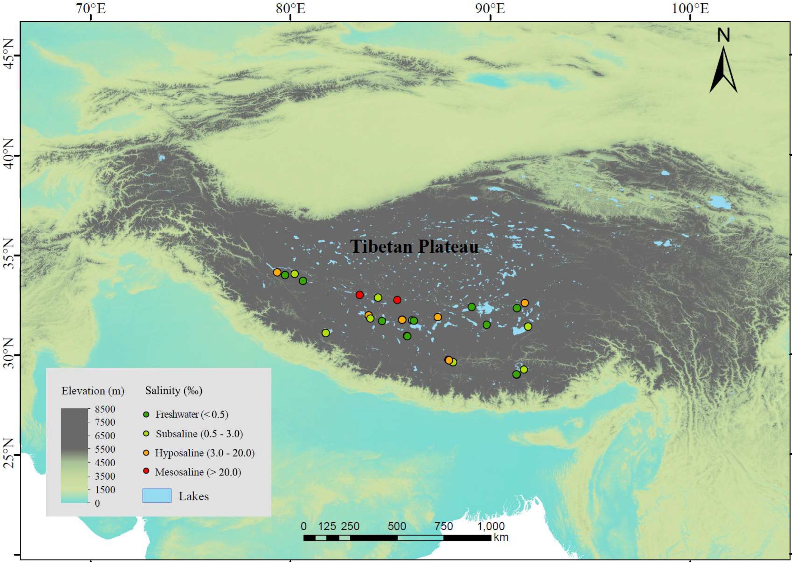 Microorganisms 13 00629 g001