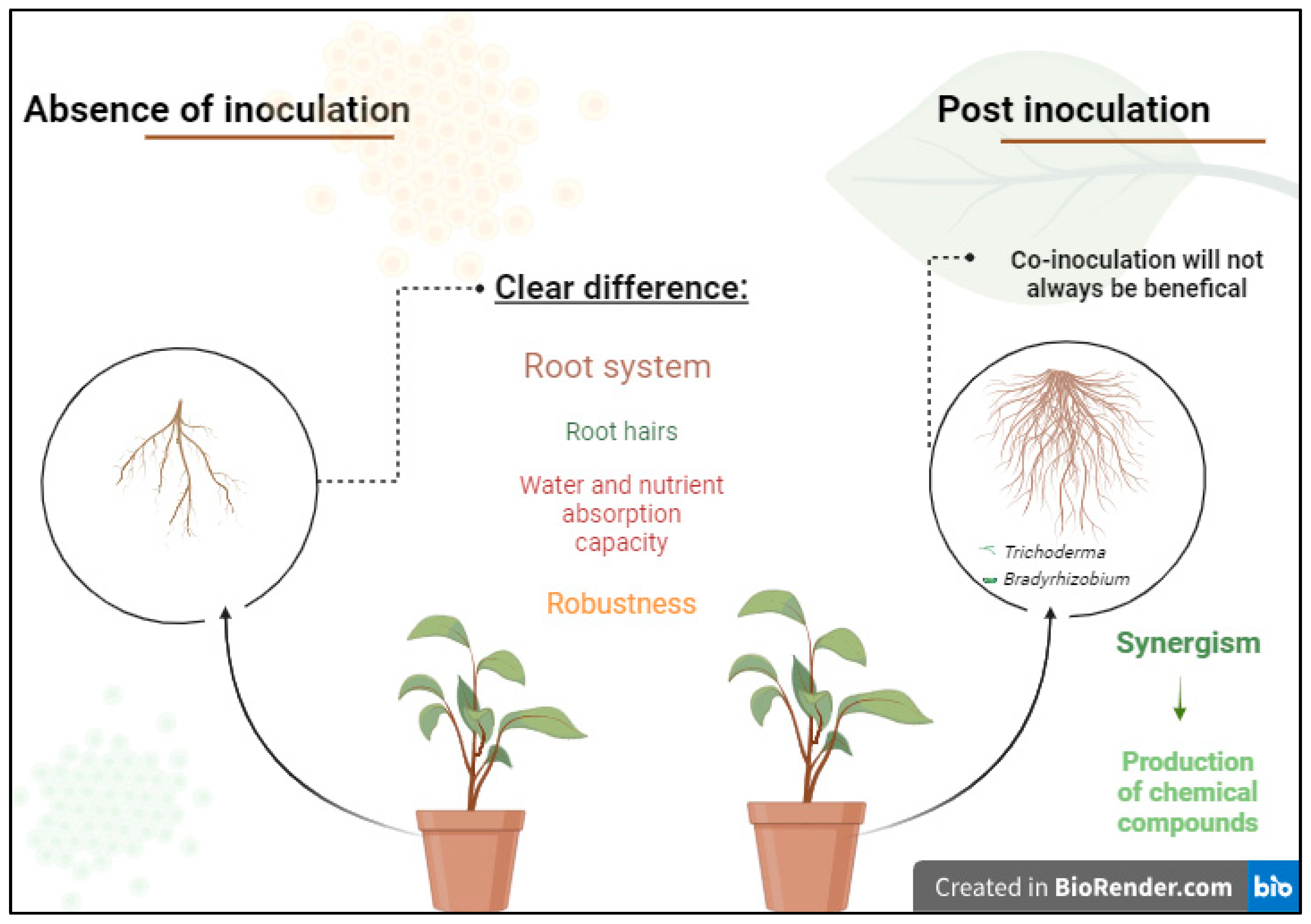 Microorganisms 13 00630 g003