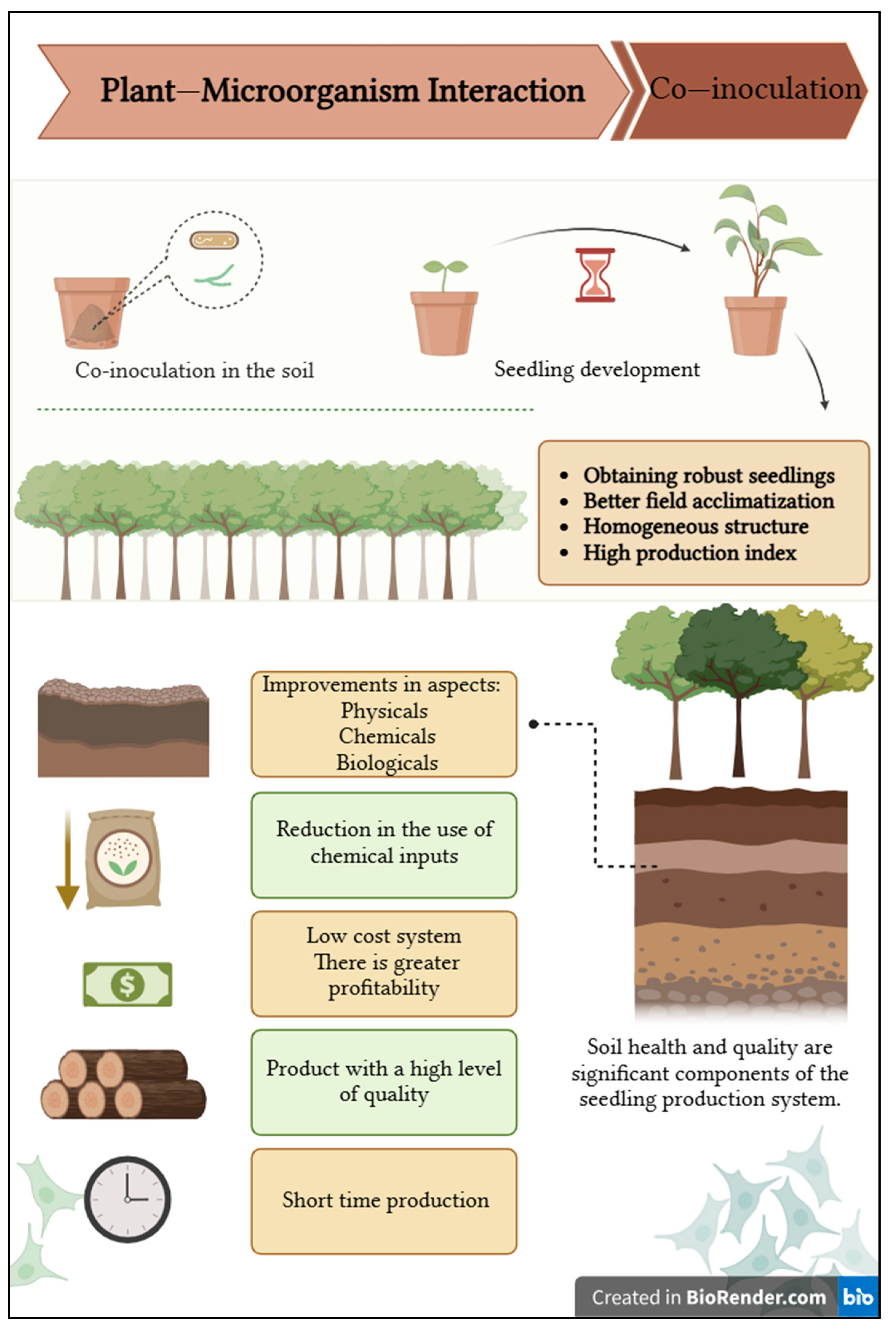 Microorganisms 13 00630 g004