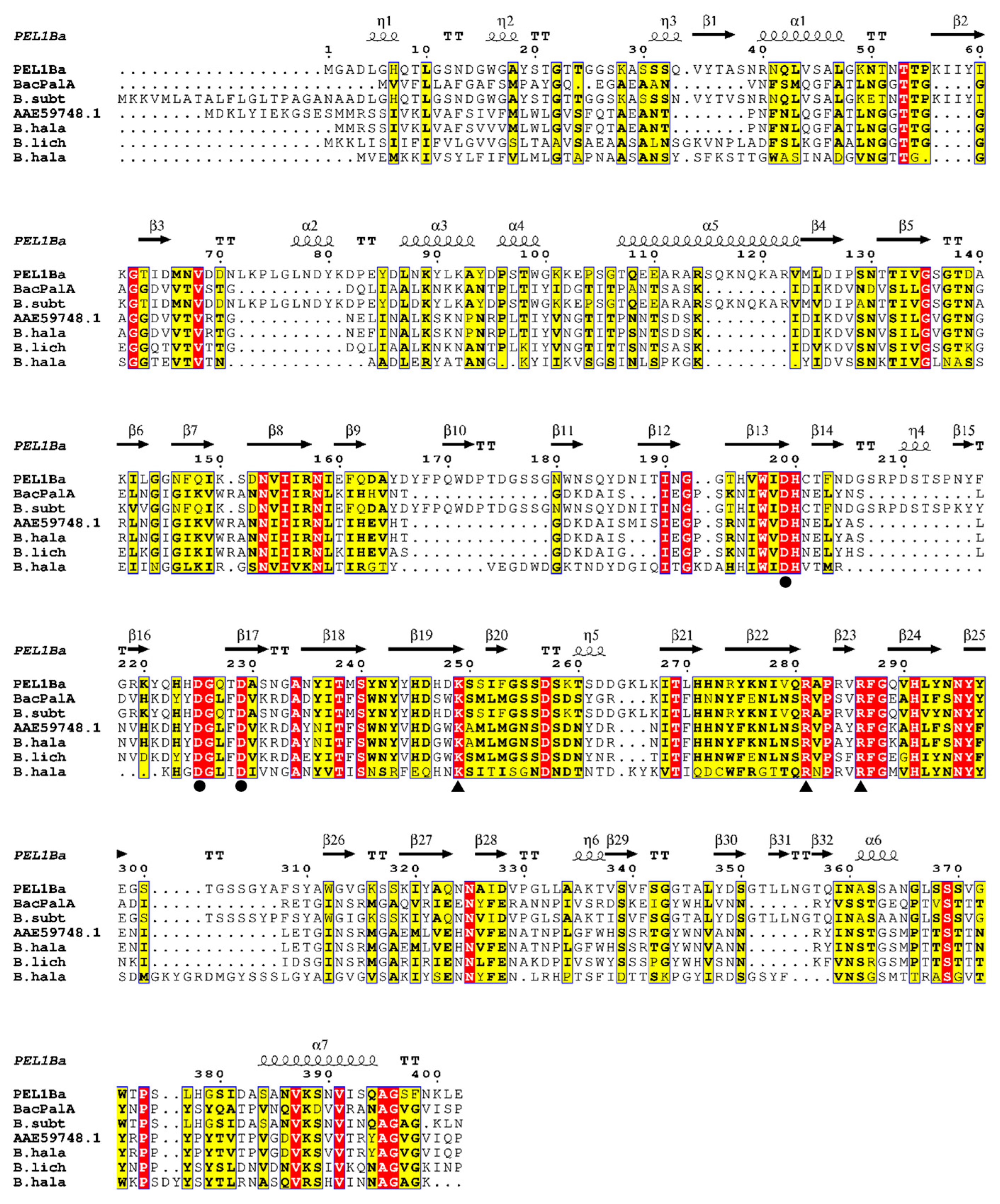 Microorganisms 13 00634 g001
