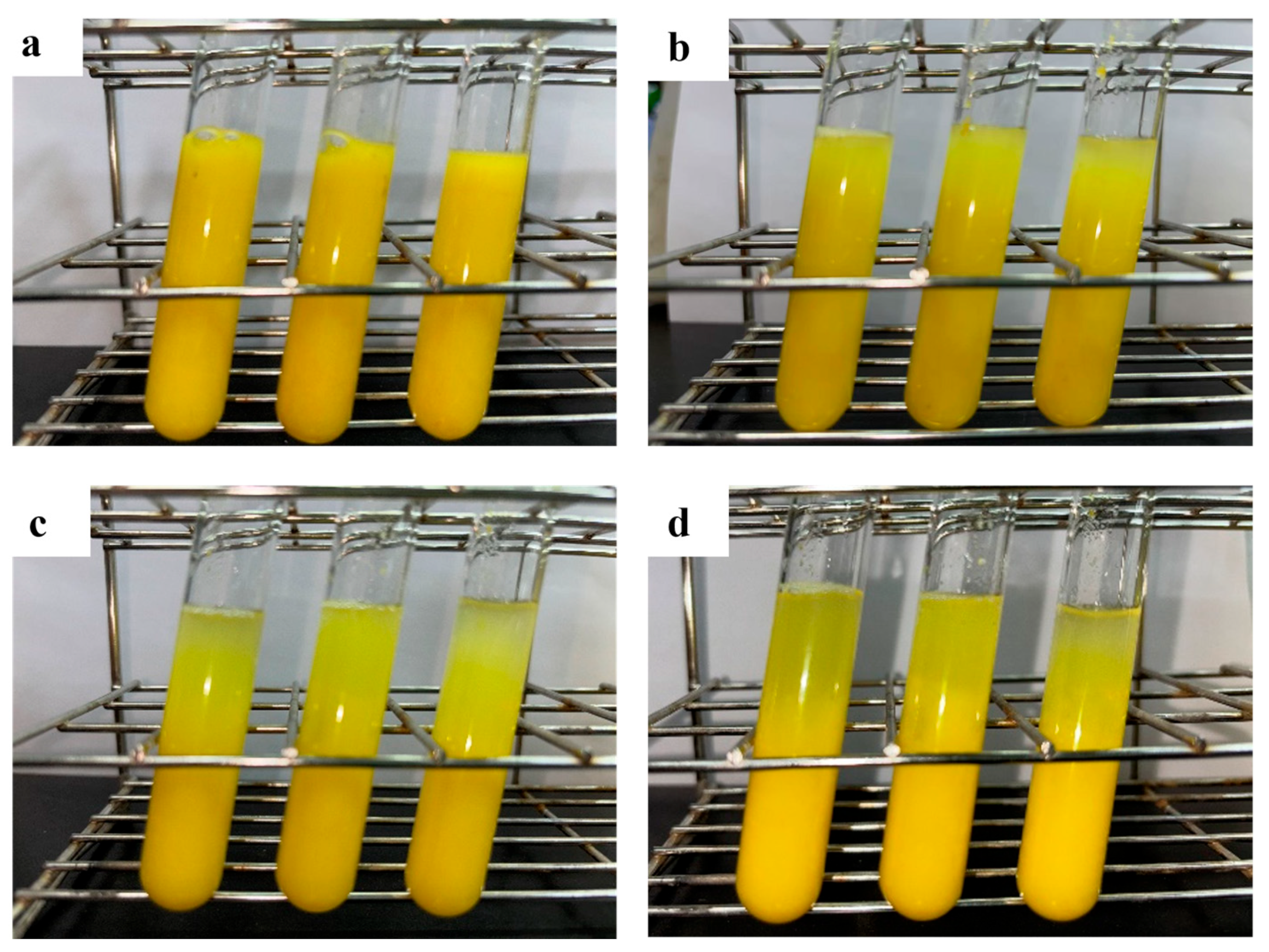 Microorganisms 13 00634 g006