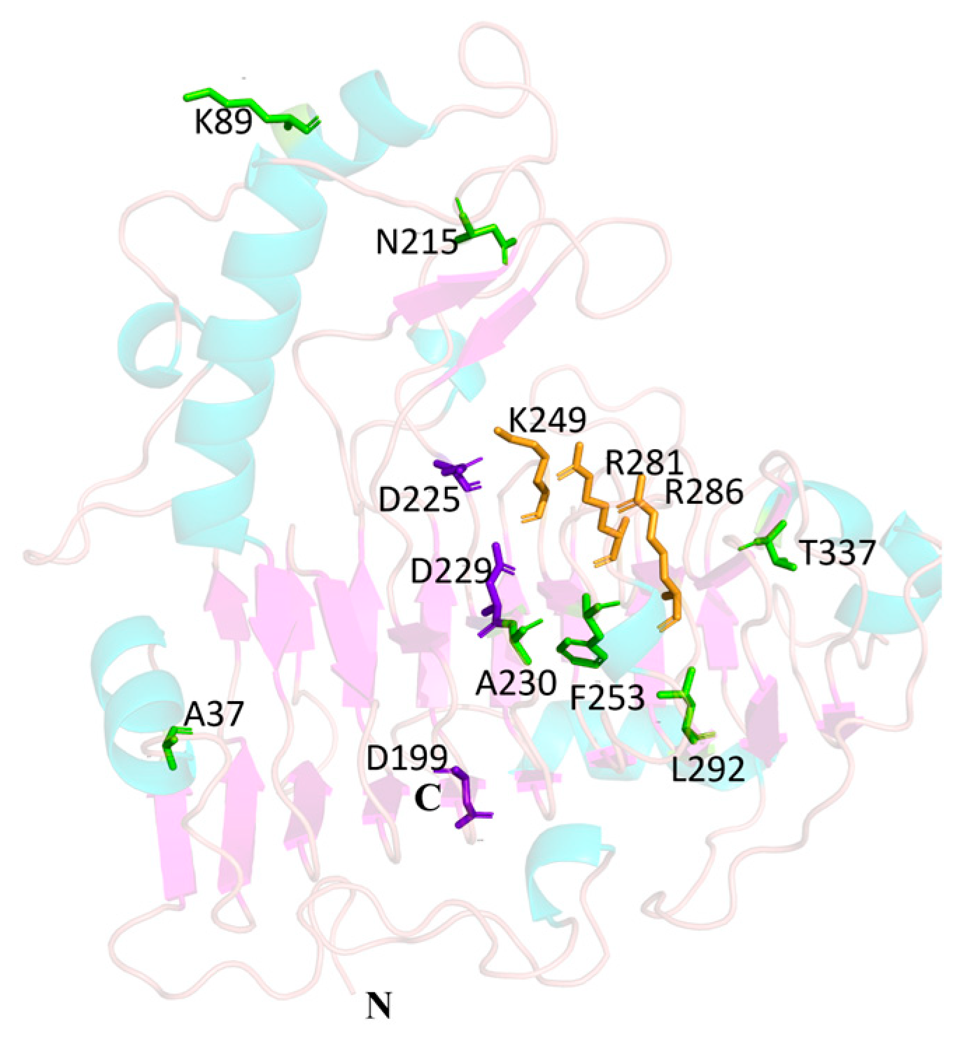 Microorganisms 13 00634 g007