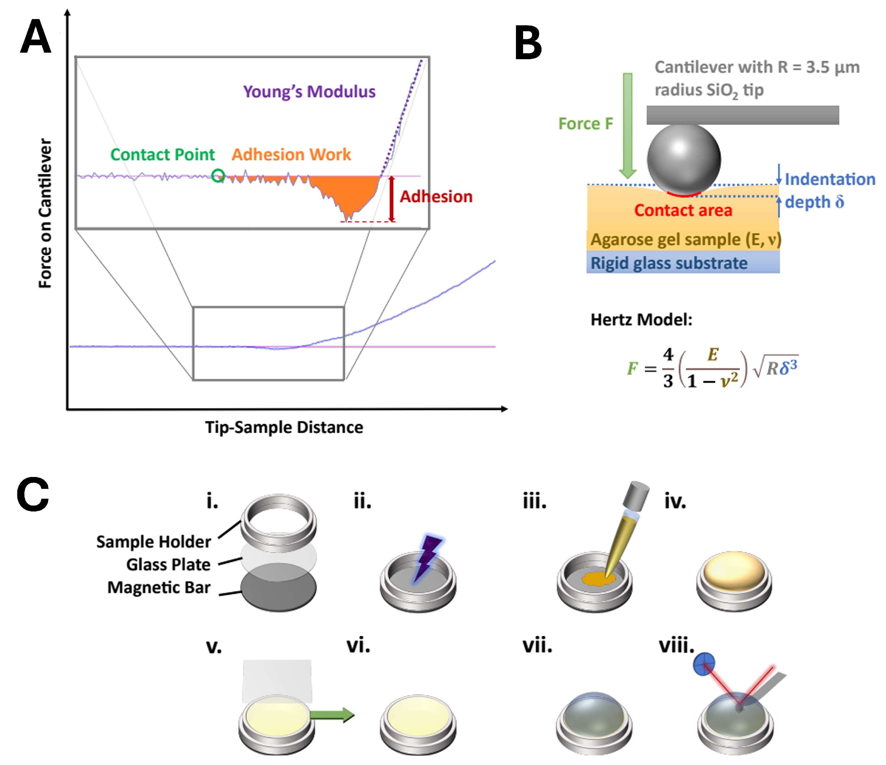 Microorganisms 13 00637 g001