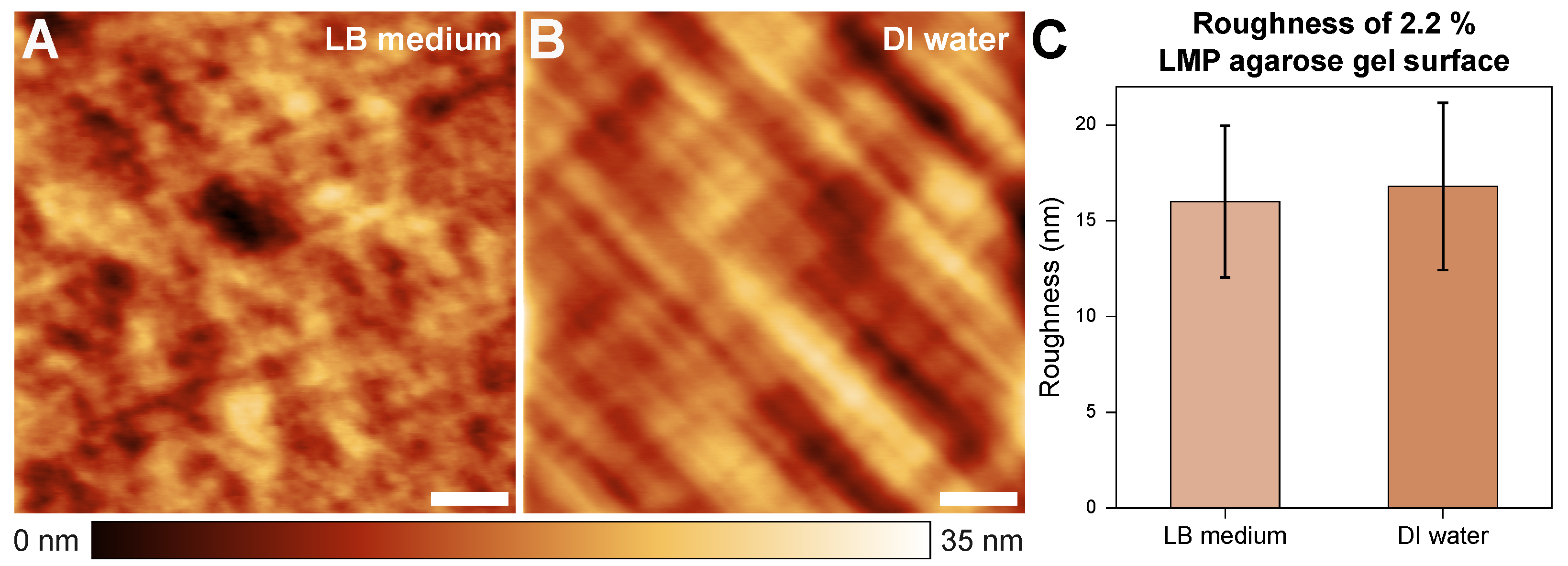 Microorganisms 13 00637 g002