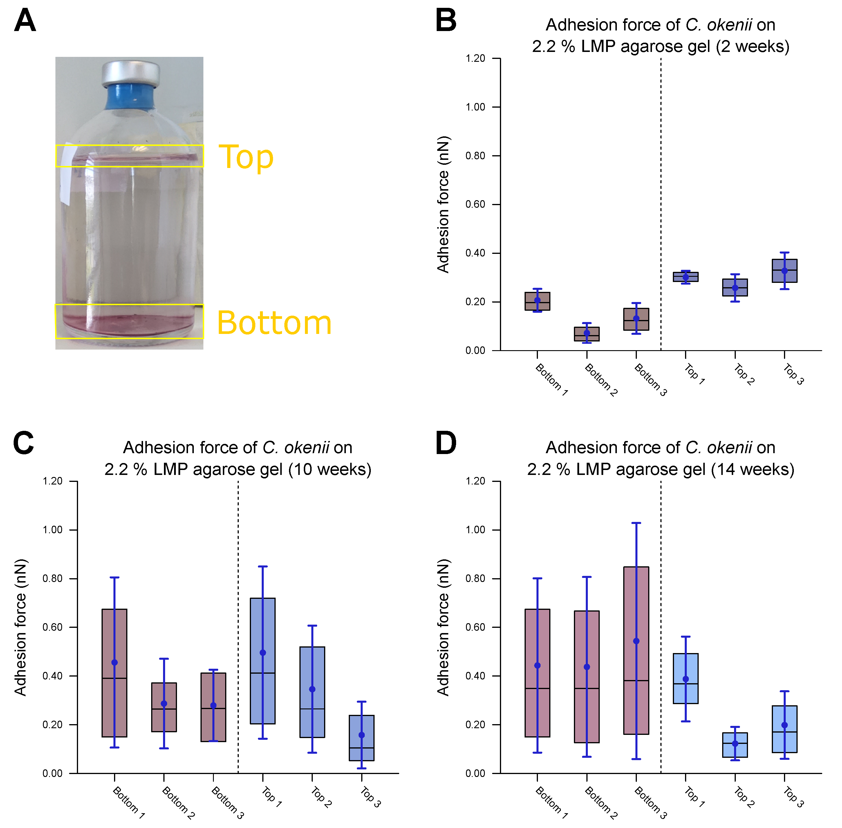 Microorganisms 13 00637 g008
