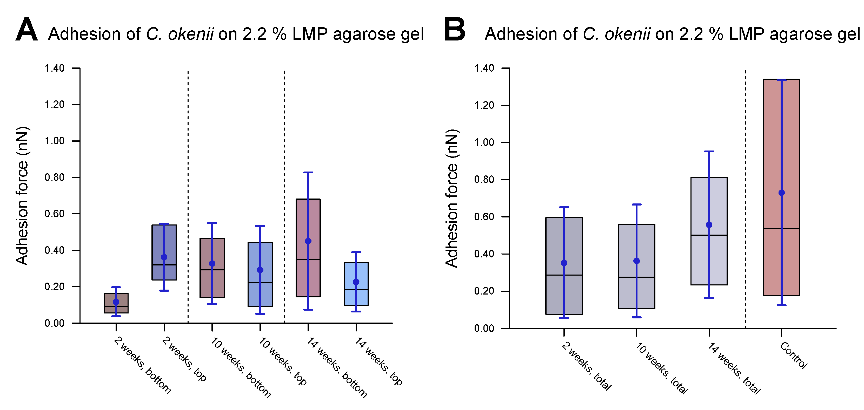 Microorganisms 13 00637 g009