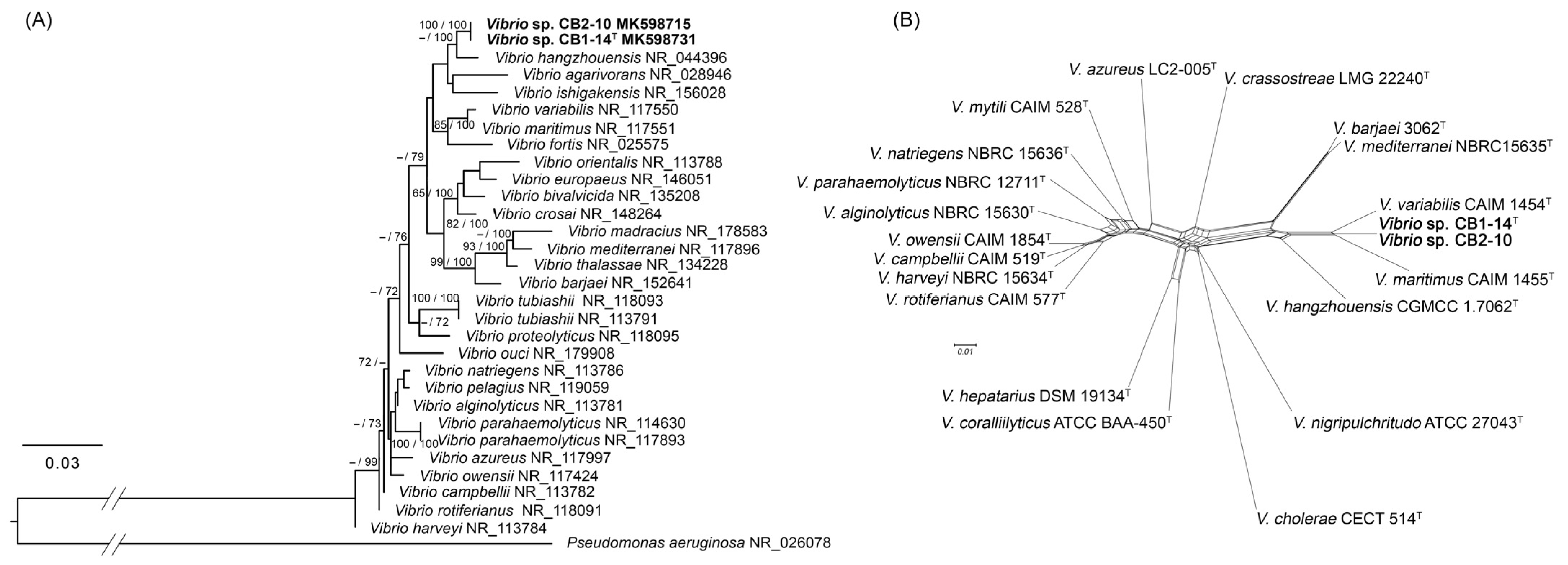 Microorganisms 13 00638 g001