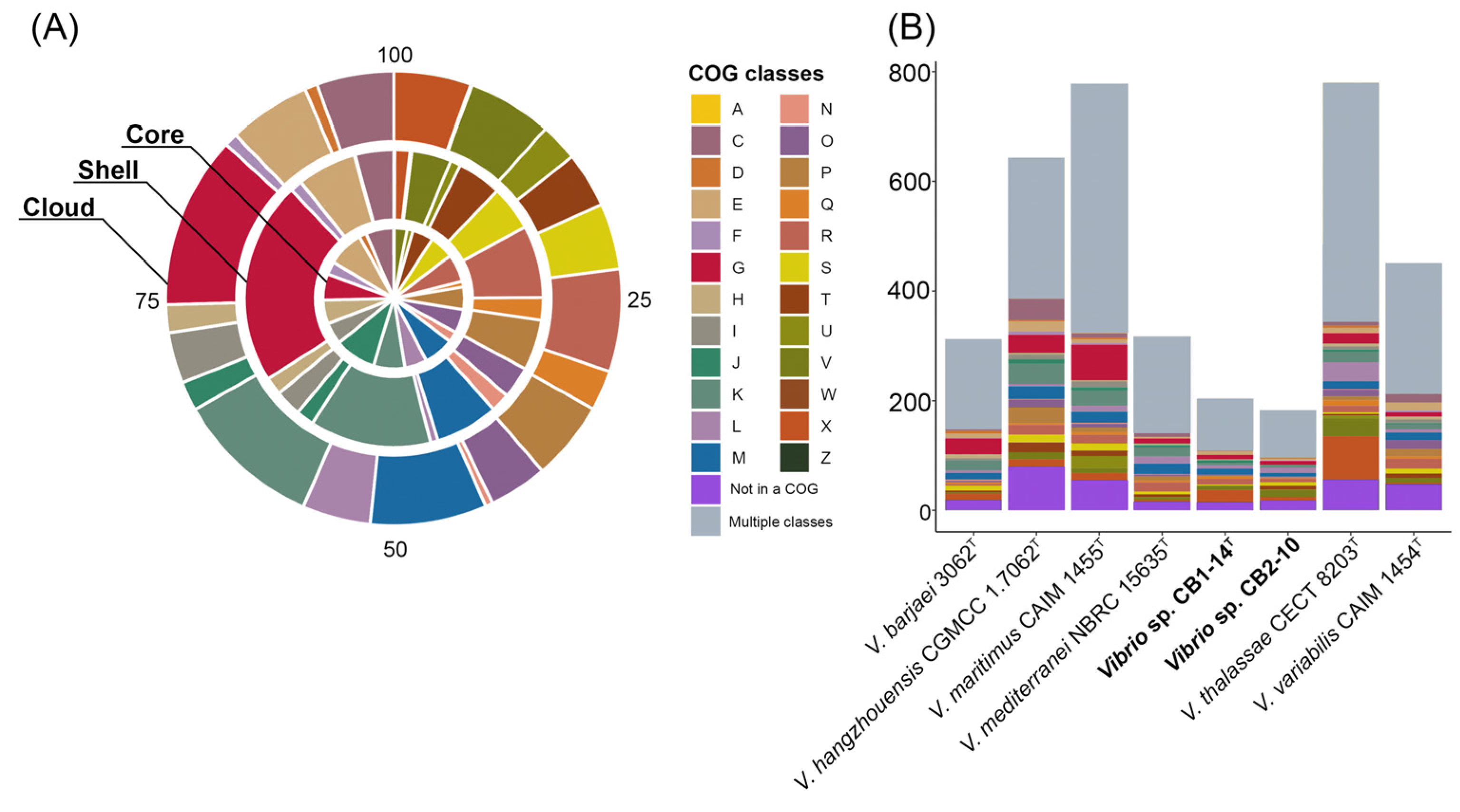 Microorganisms 13 00638 g004