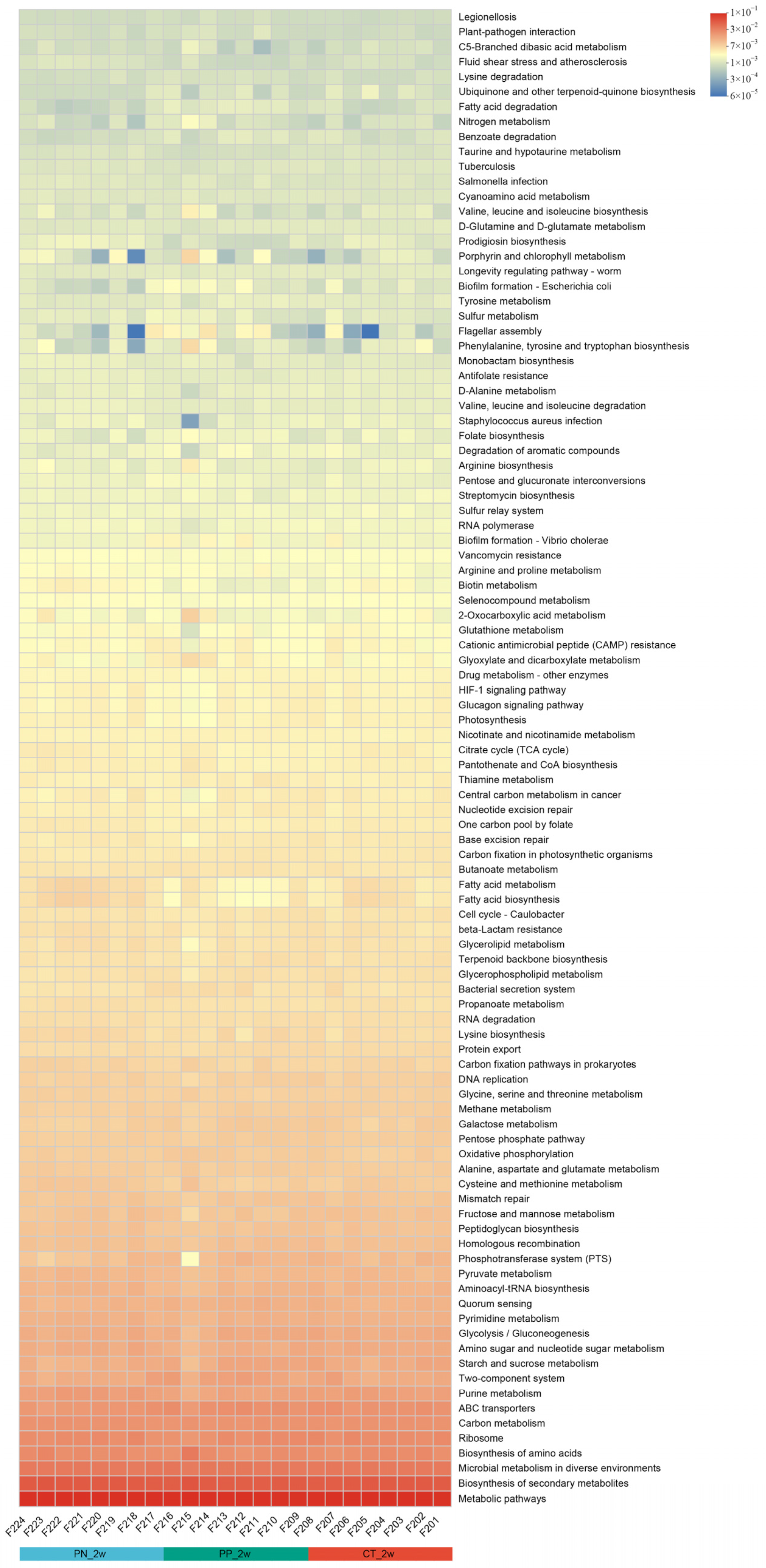 Microorganisms 13 00640 g005