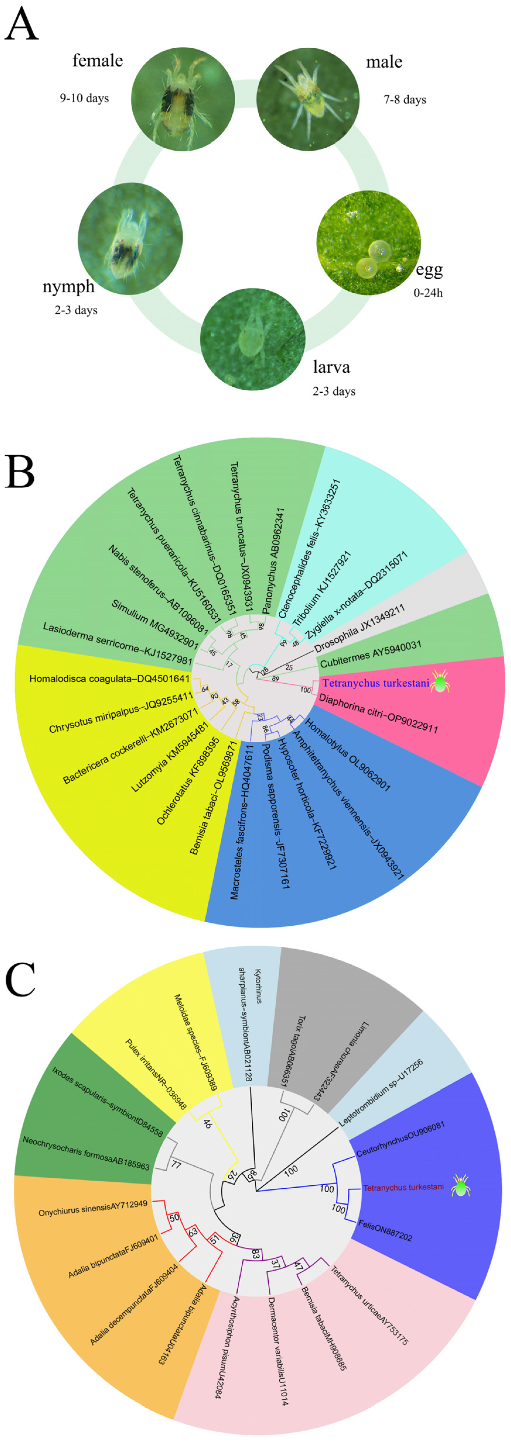 Microorganisms 13 00642 g001