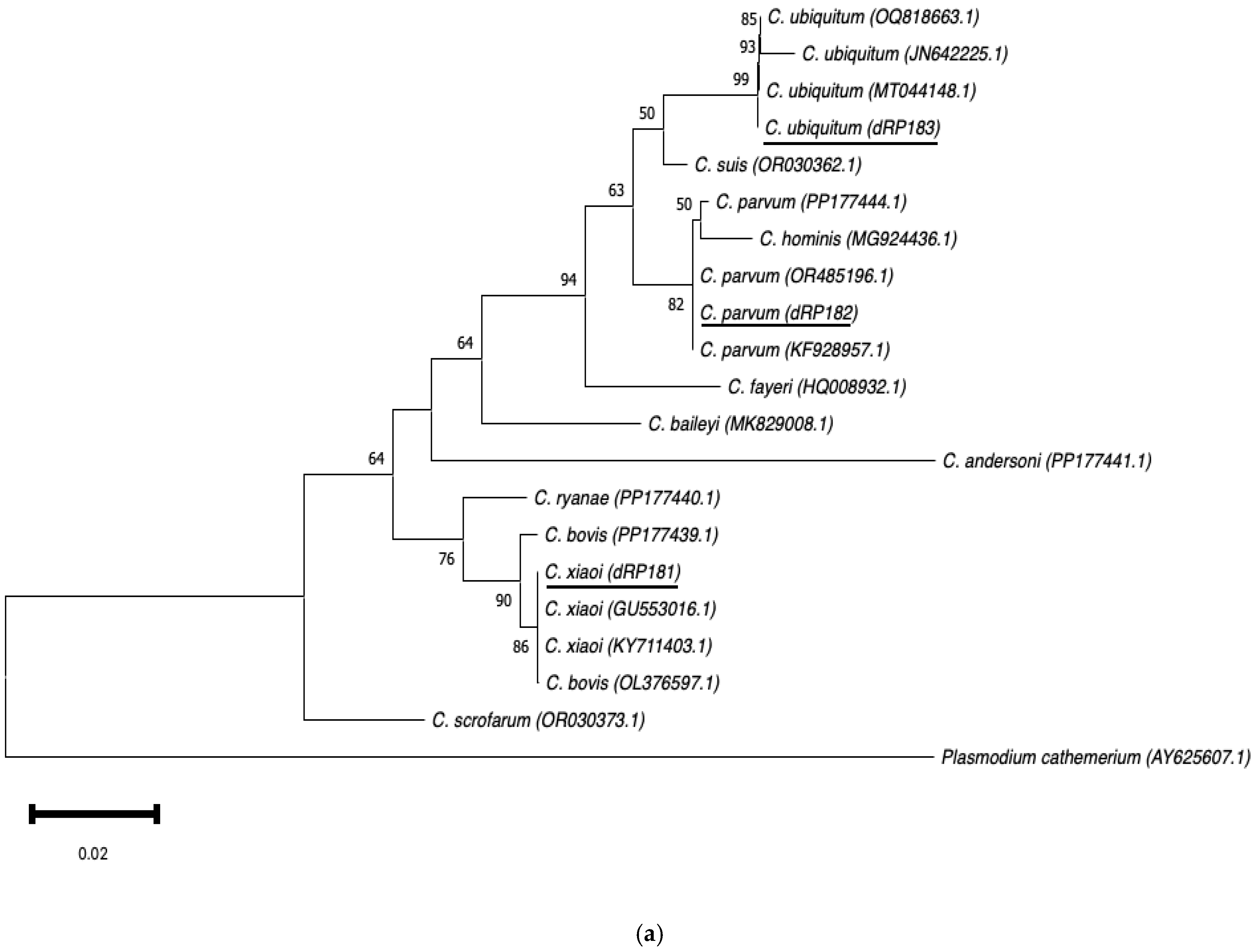 Microorganisms 13 00644 g003a Microorganisms 13 00644 g003a