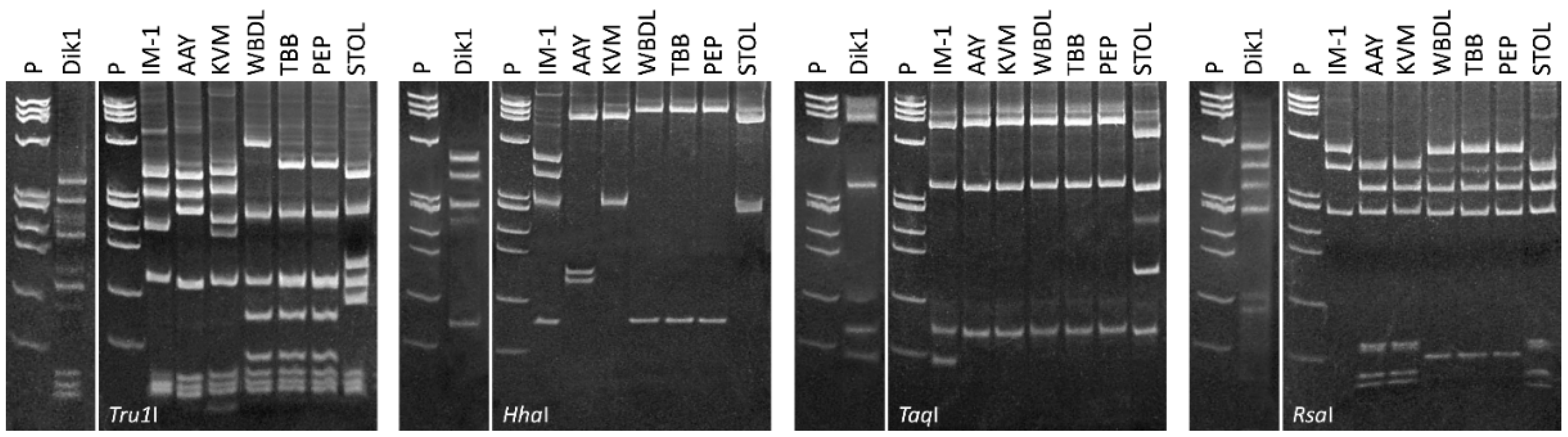 Microorganisms 13 00645 g002 Microorganisms 13 00645 g002