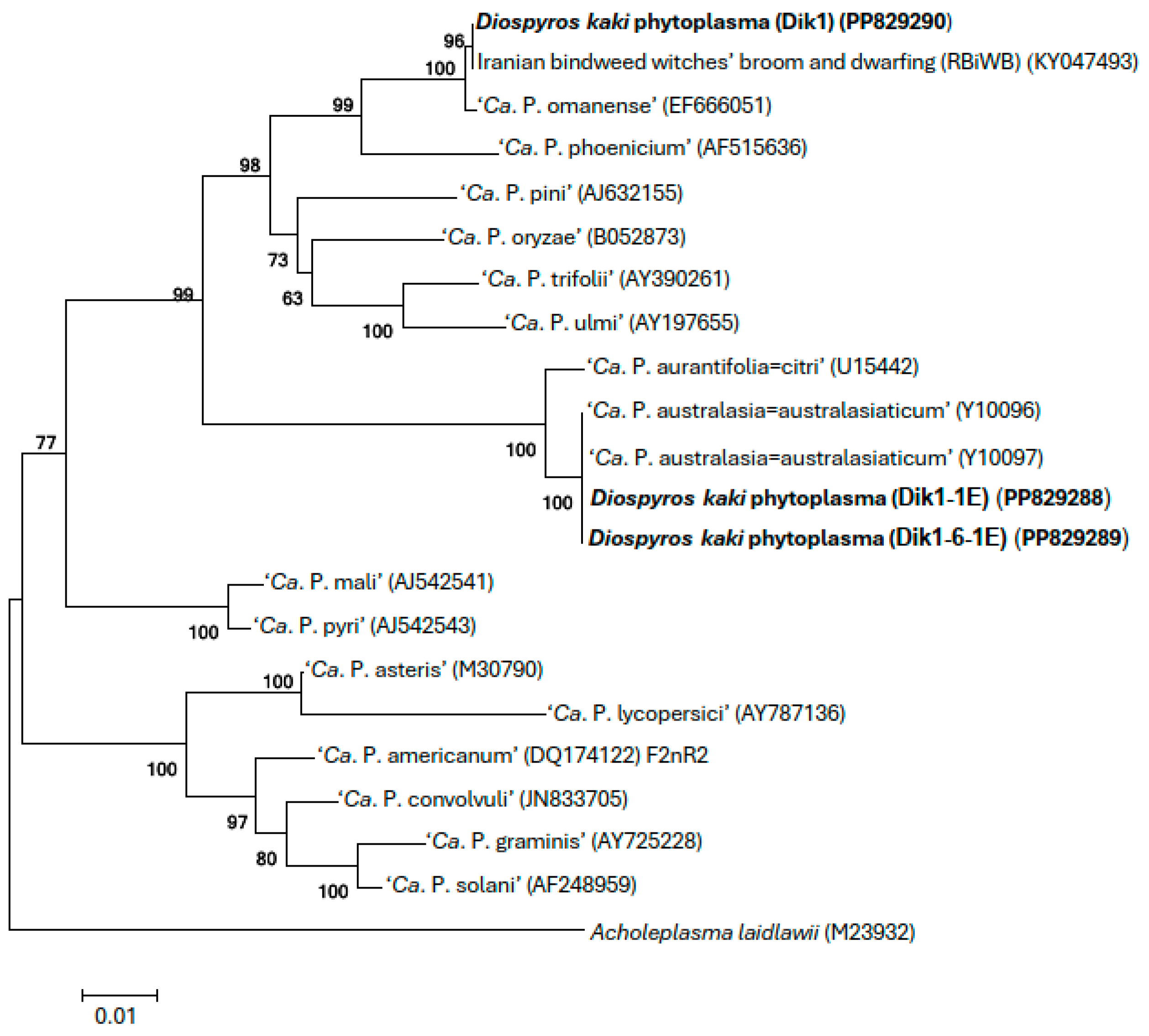 Microorganisms 13 00645 g003 Microorganisms 13 00645 g003