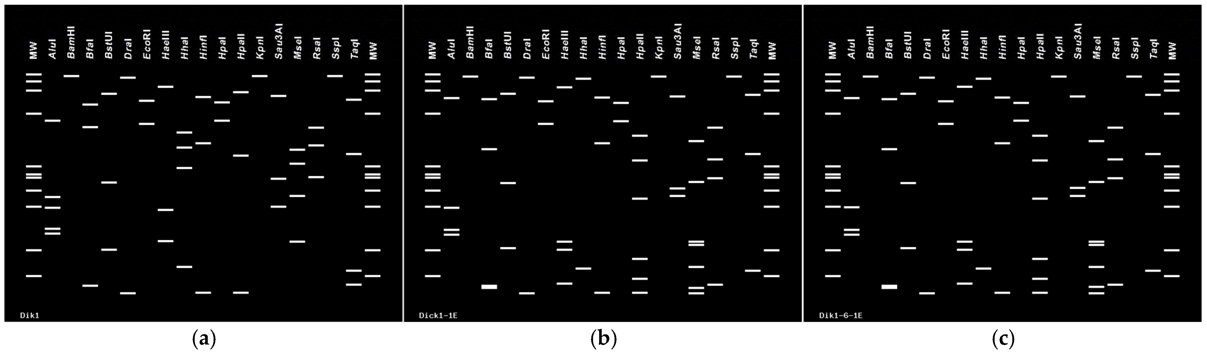 Microorganisms 13 00645 g004 Microorganisms 13 00645 g004