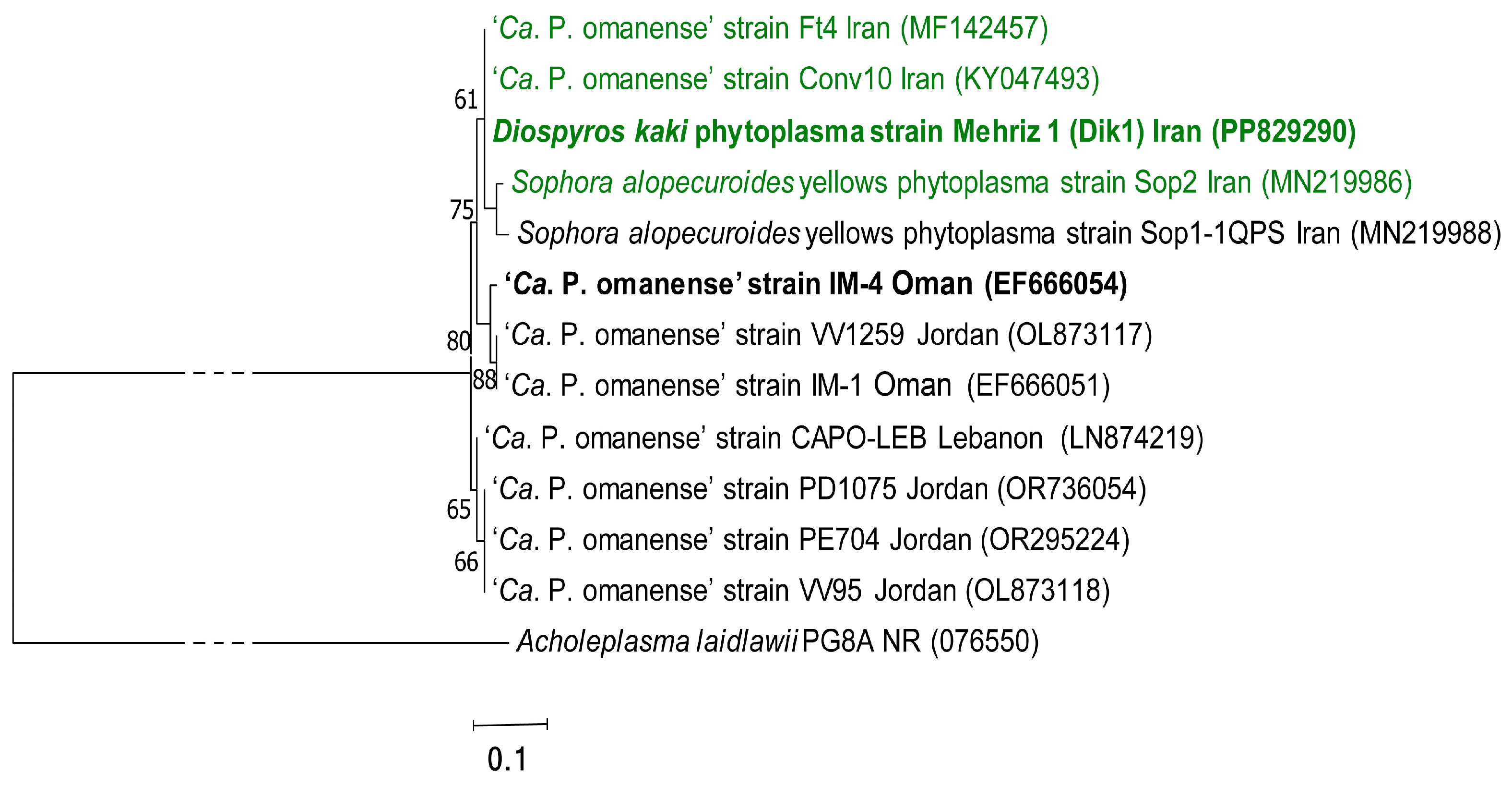 Microorganisms 13 00645 g005 Microorganisms 13 00645 g005