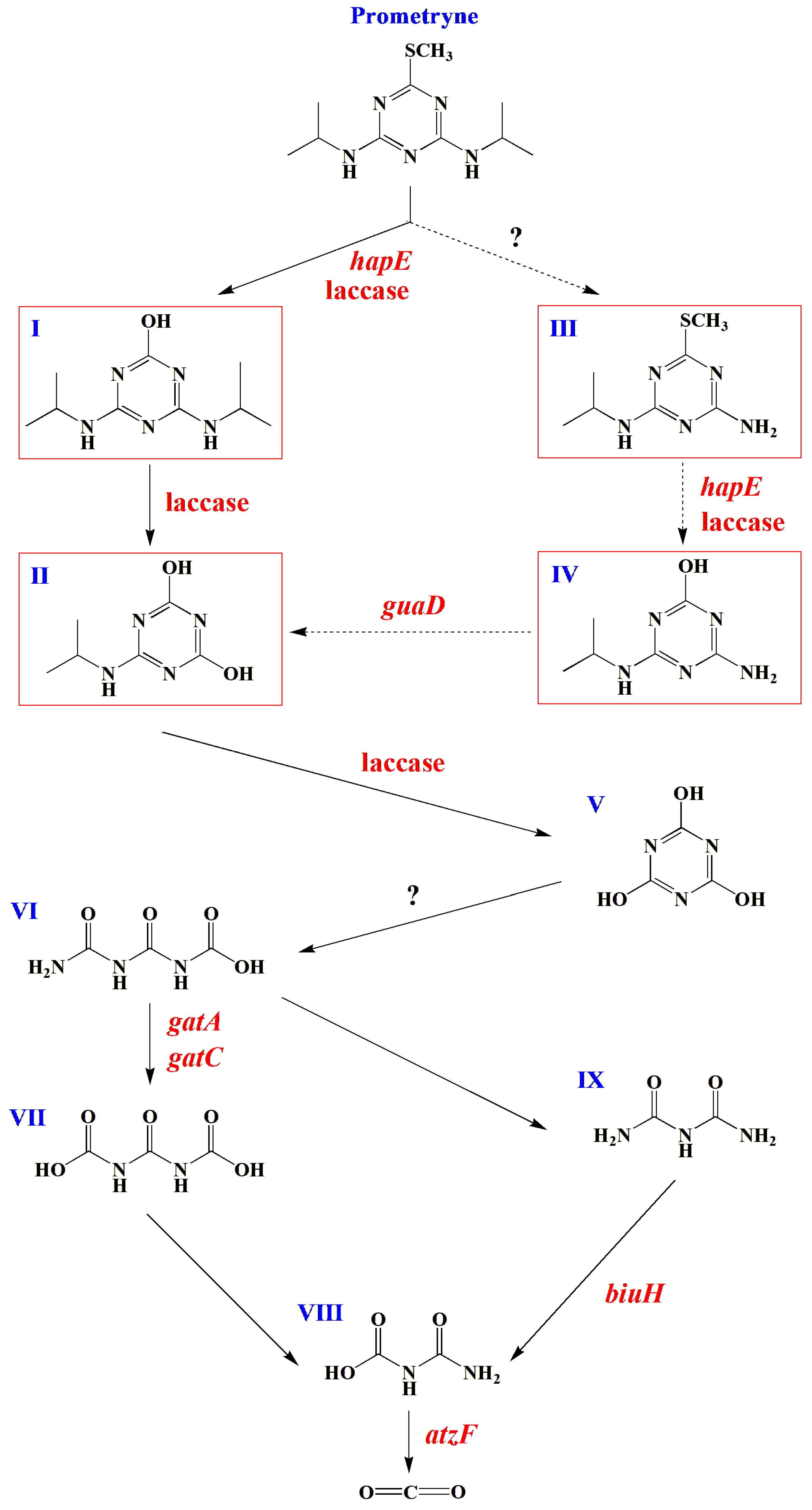 Microorganisms 13 00649 g005