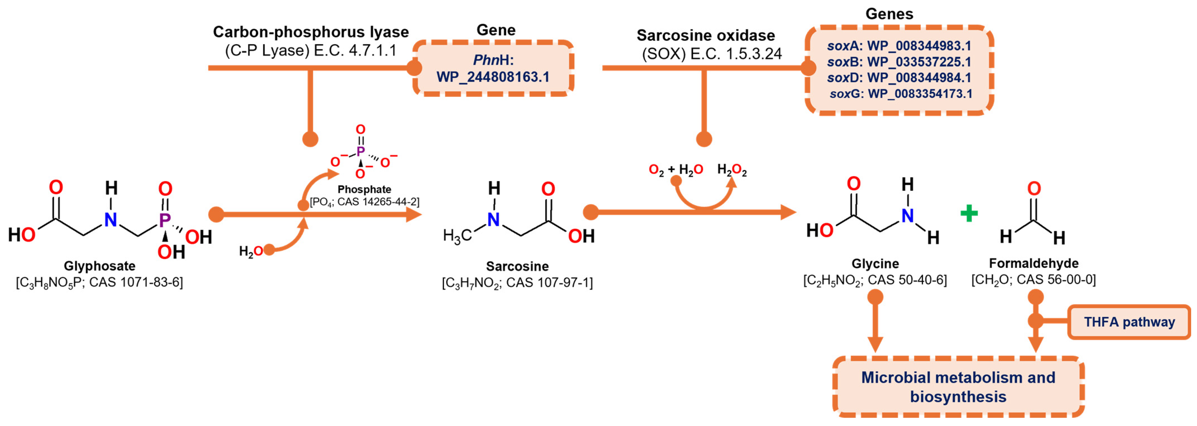 Microorganisms 13 00651 g005
