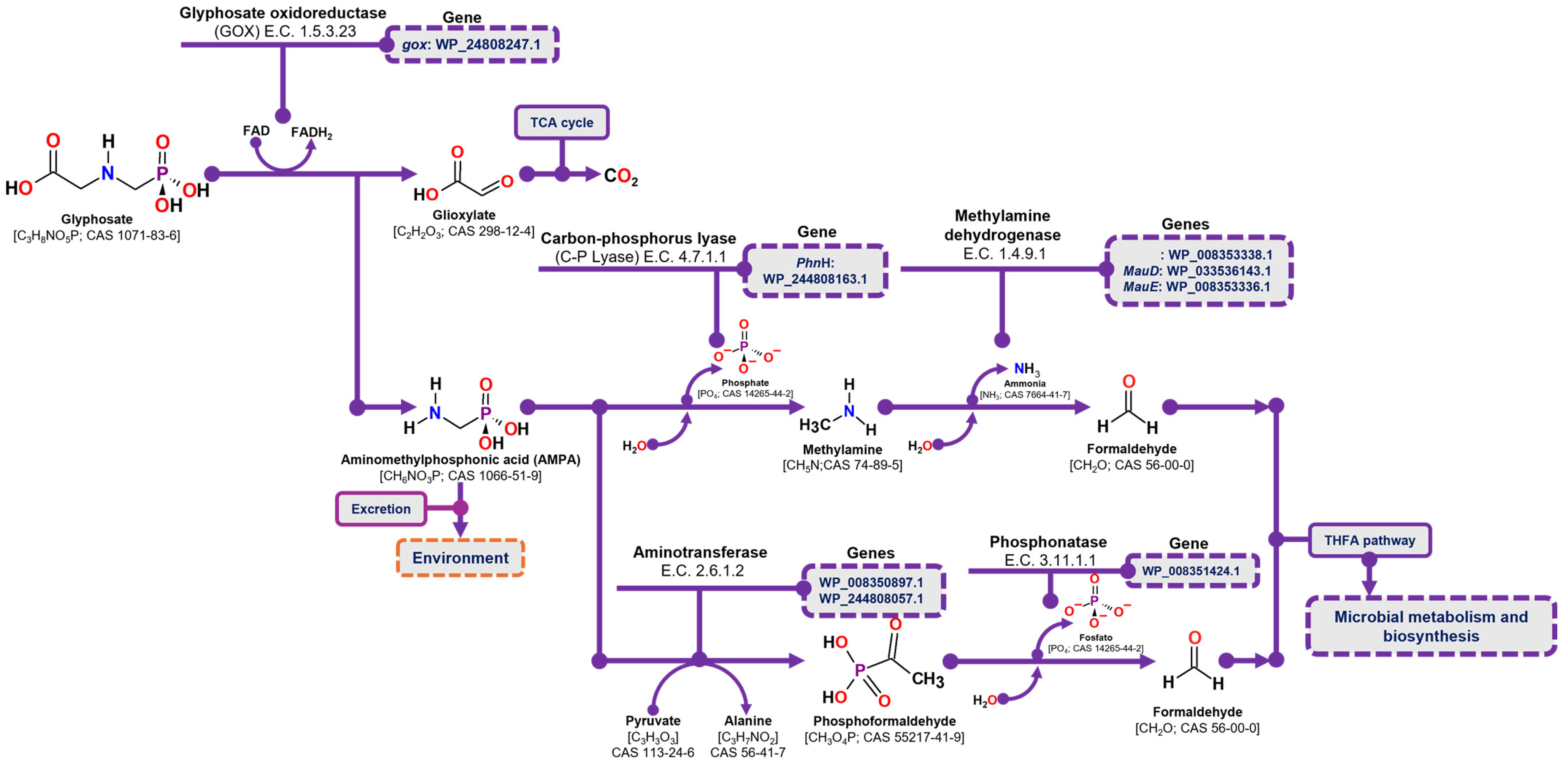 Microorganisms 13 00651 g006