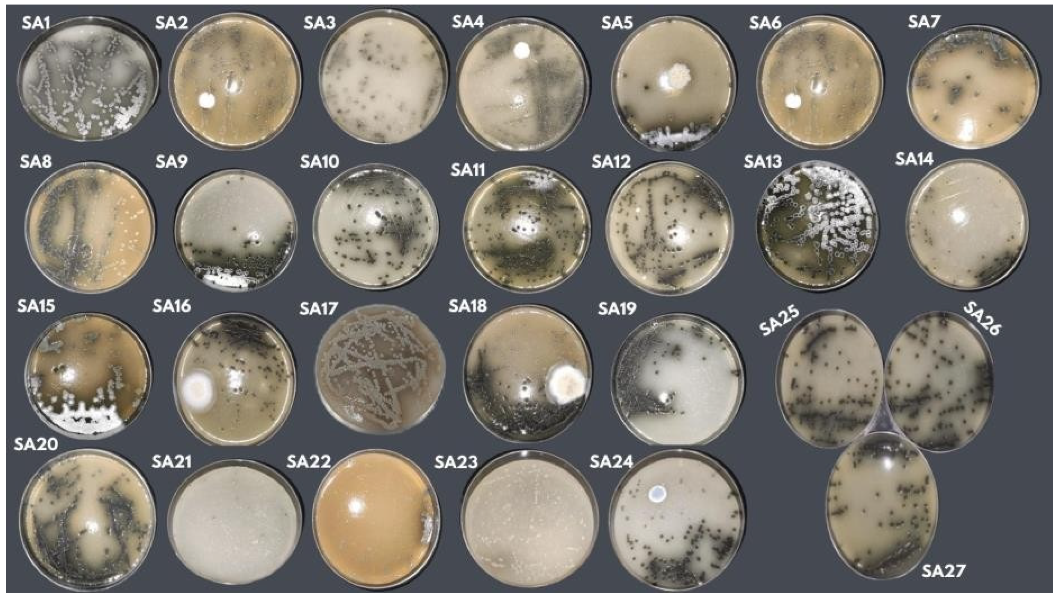 Microorganisms 13 00654 g002