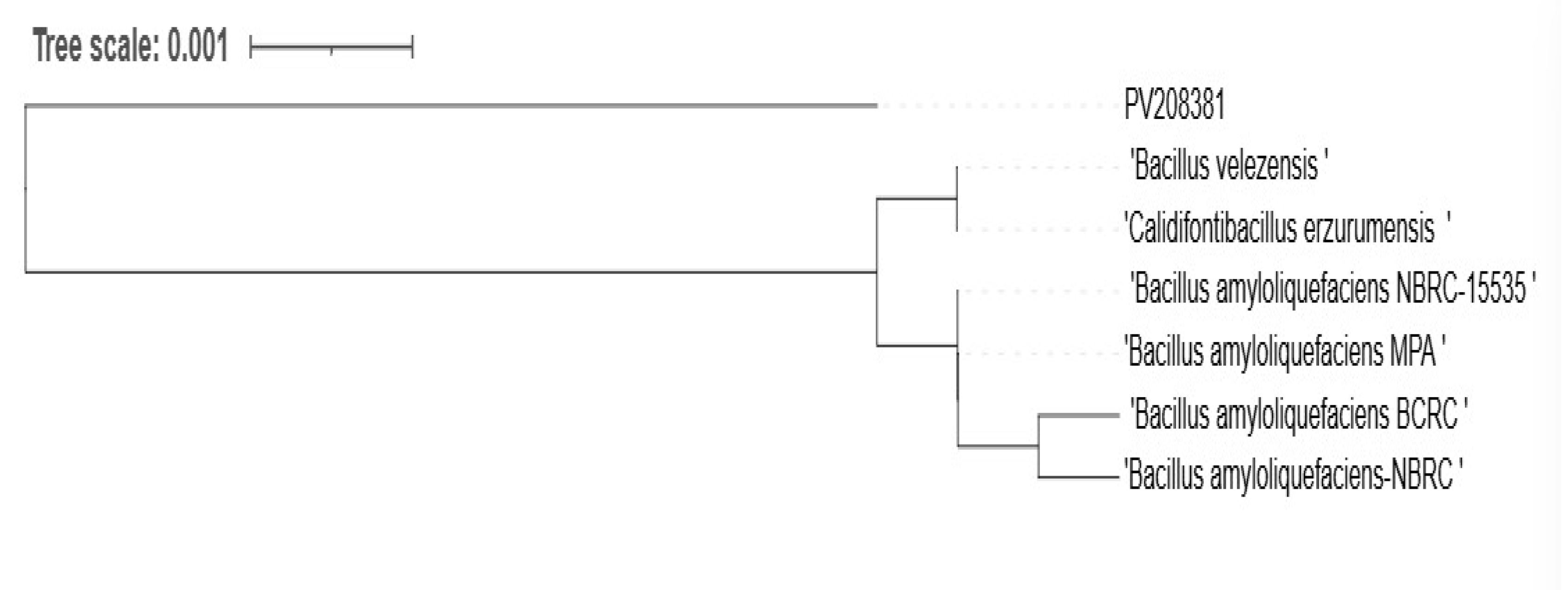 Microorganisms 13 00656 g008