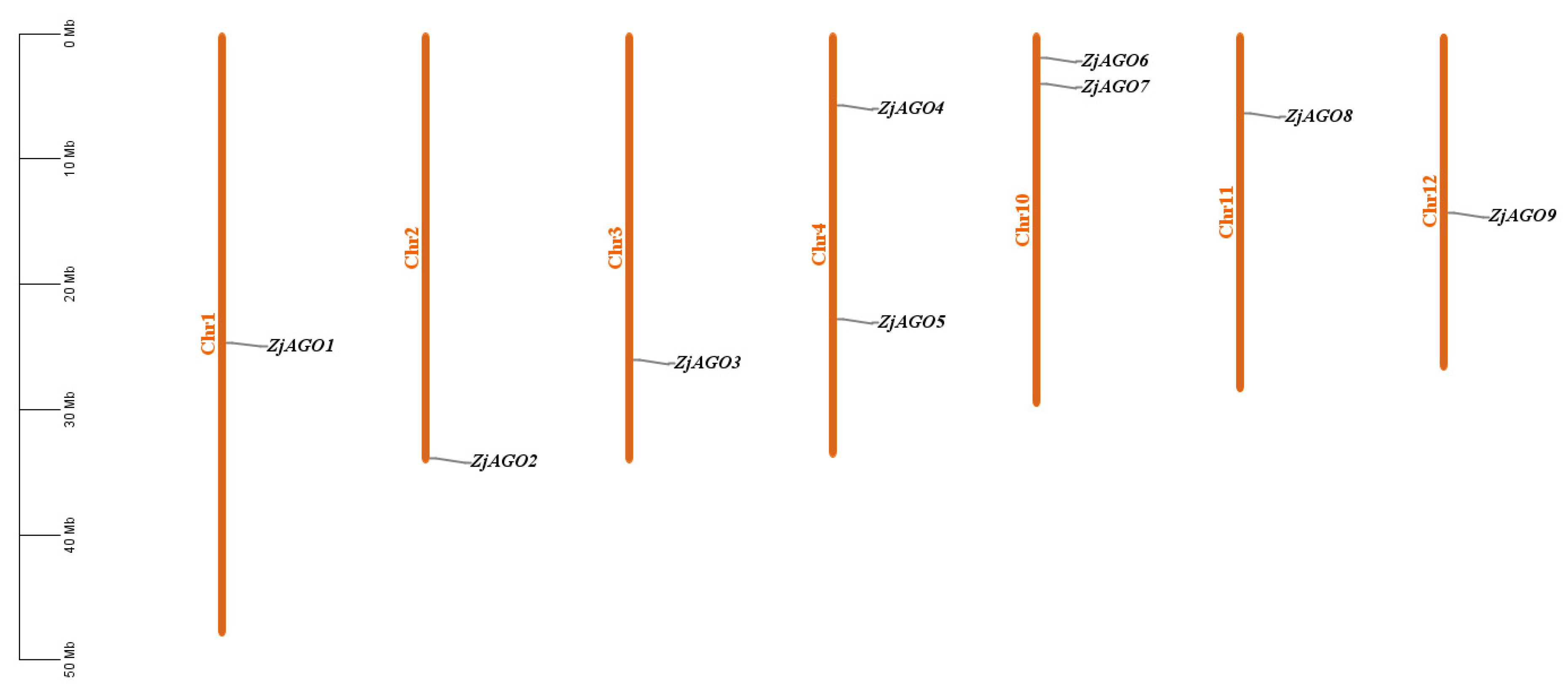 Microorganisms 13 00658 g001