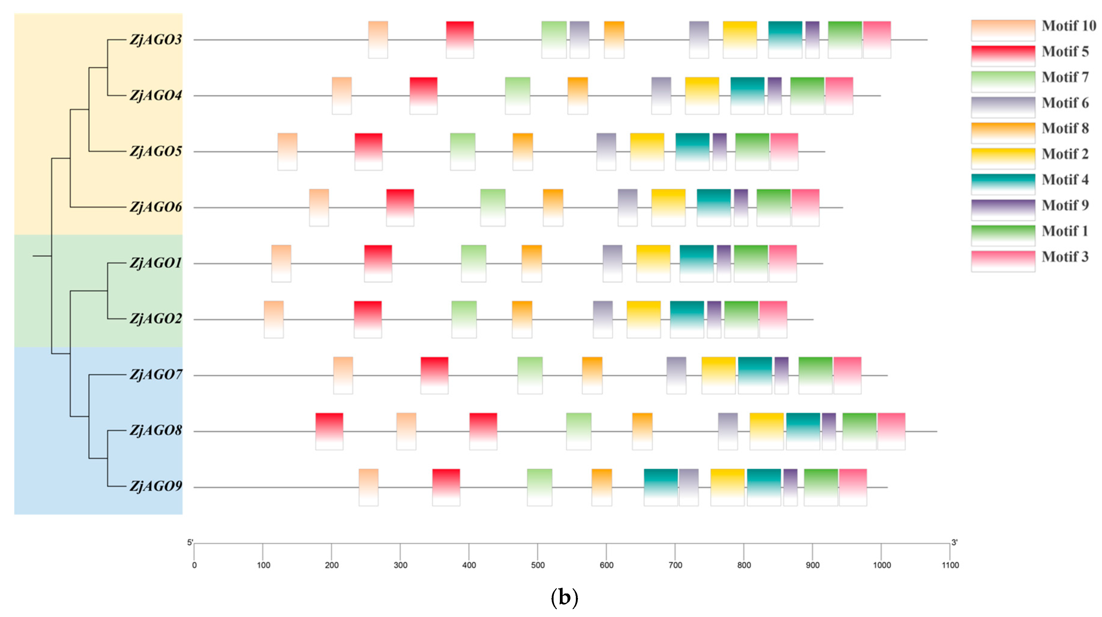 Microorganisms 13 00658 g002b
