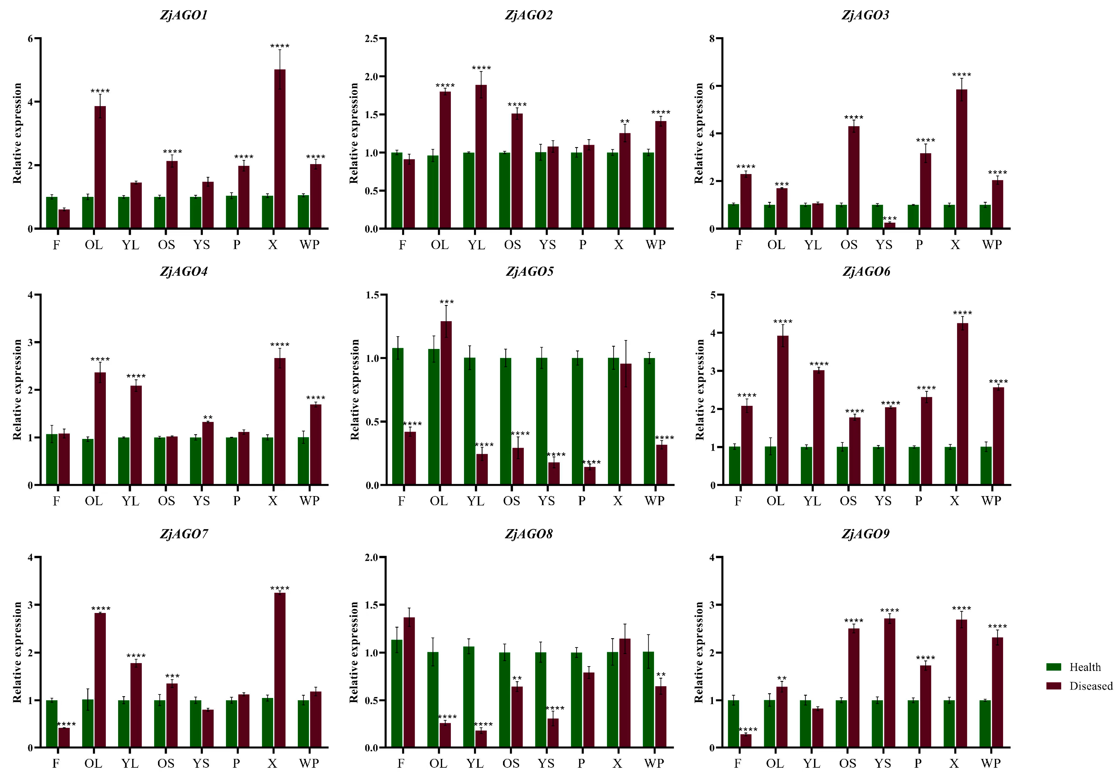 Microorganisms 13 00658 g005