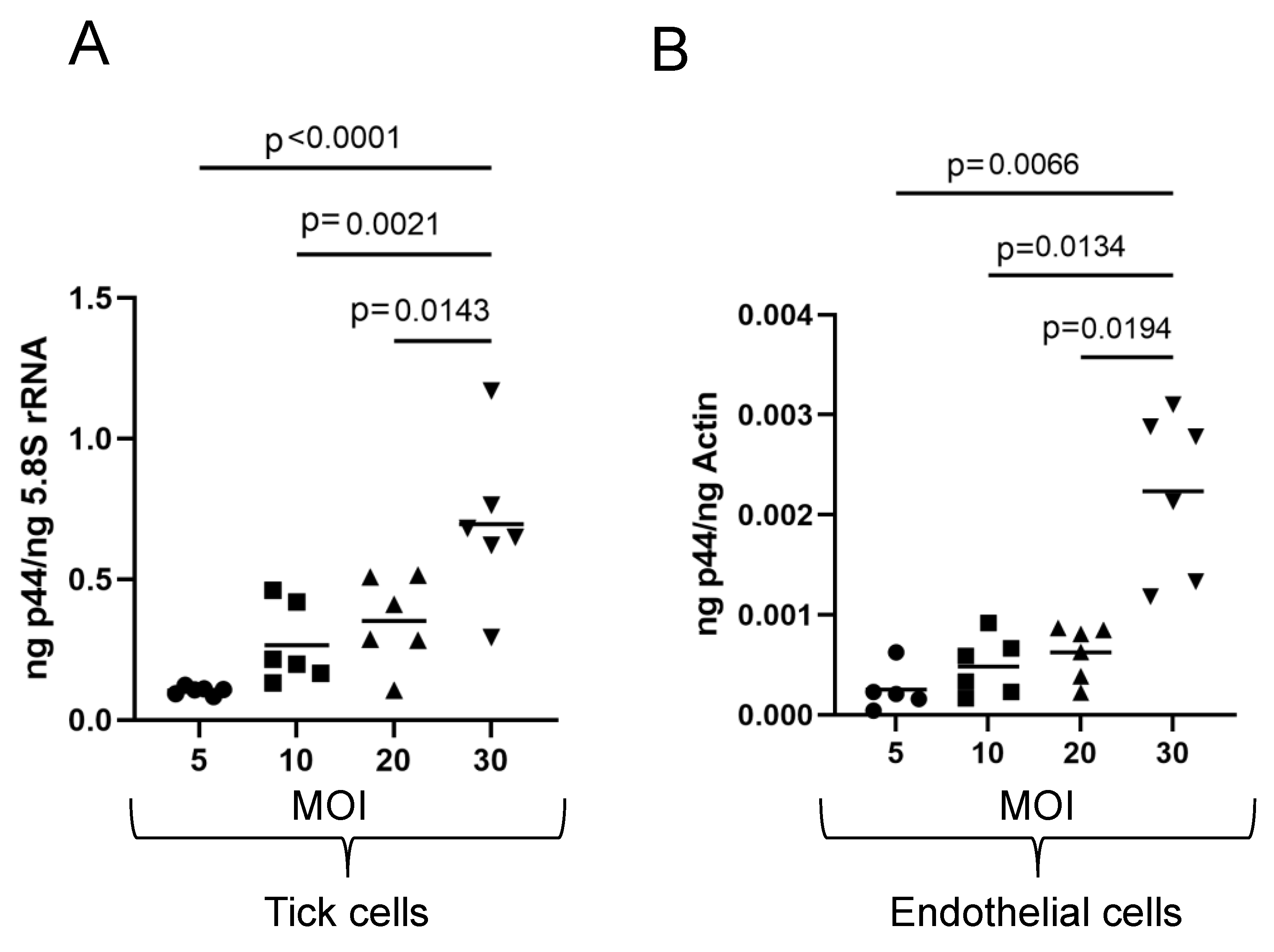 Microorganisms 13 00662 g005