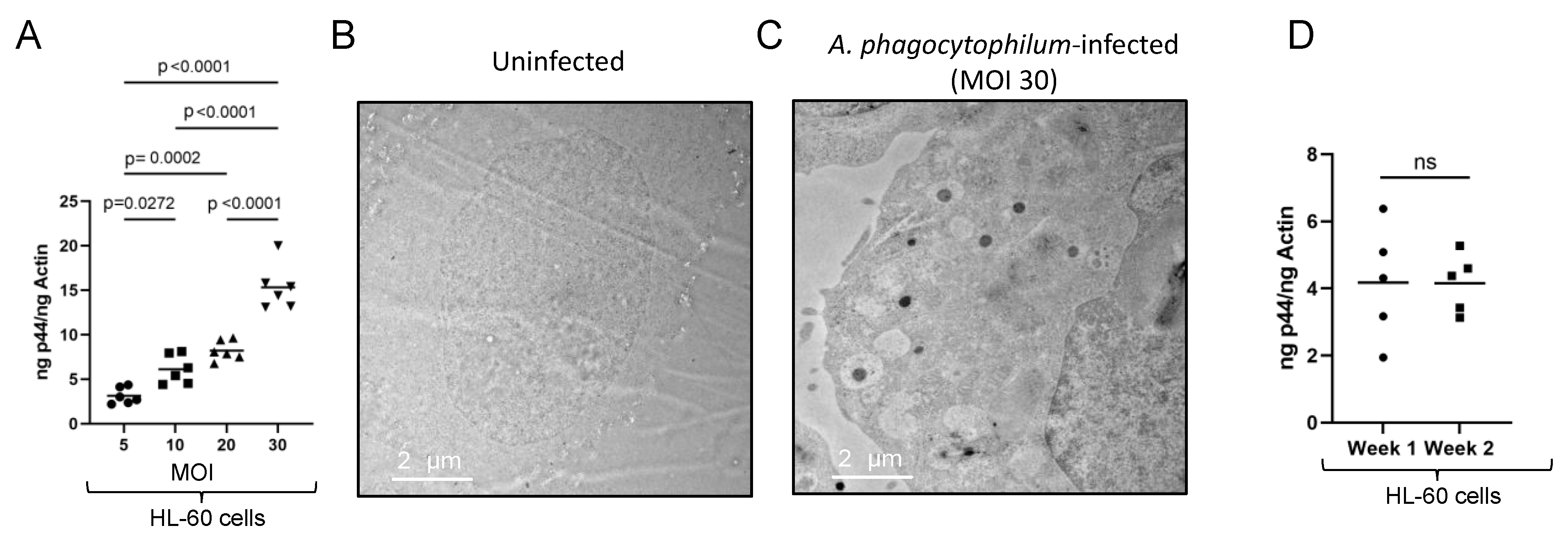 Microorganisms 13 00662 g006