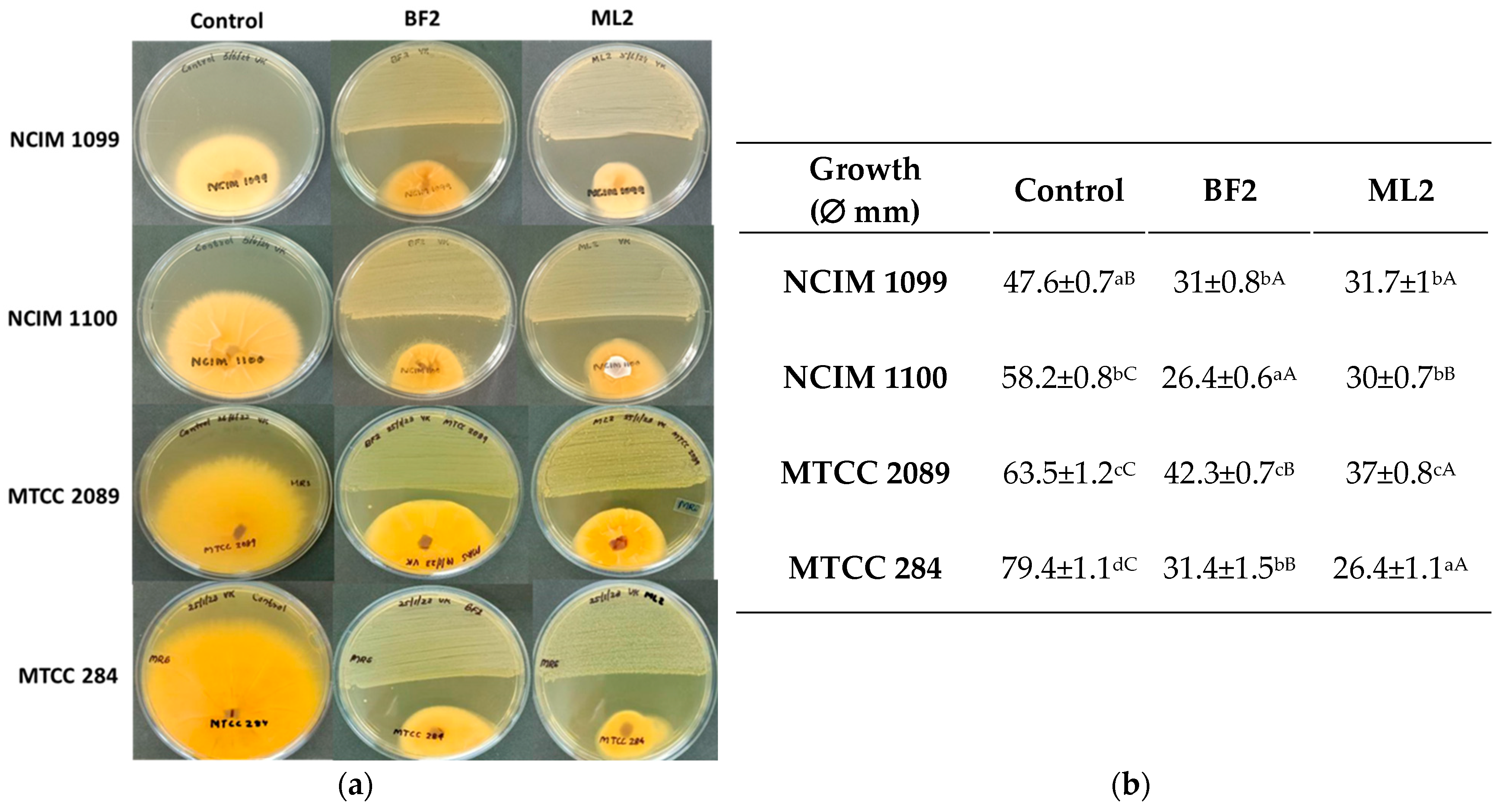Microorganisms 13 00666 g003