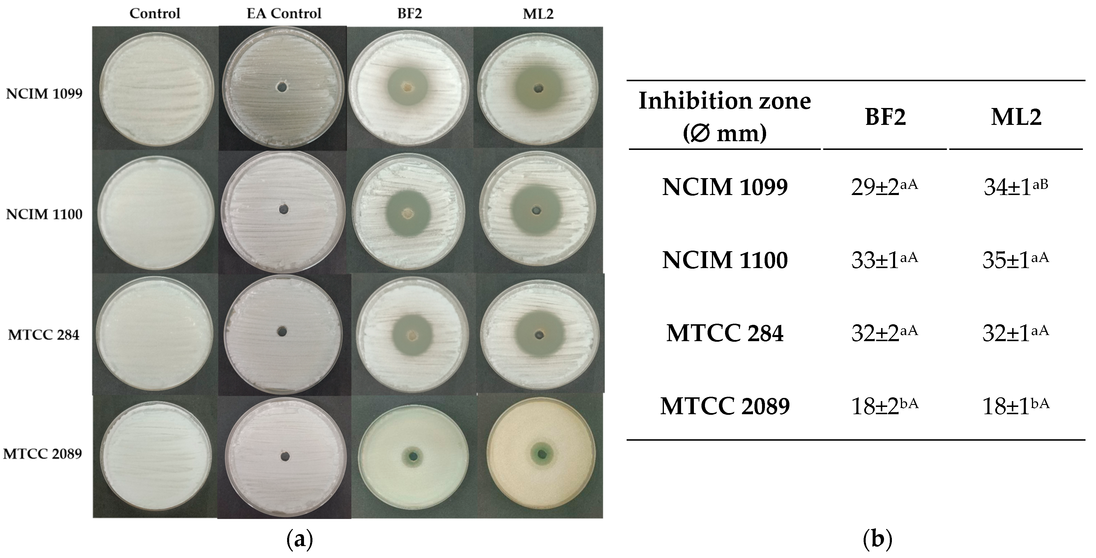 Microorganisms 13 00666 g004