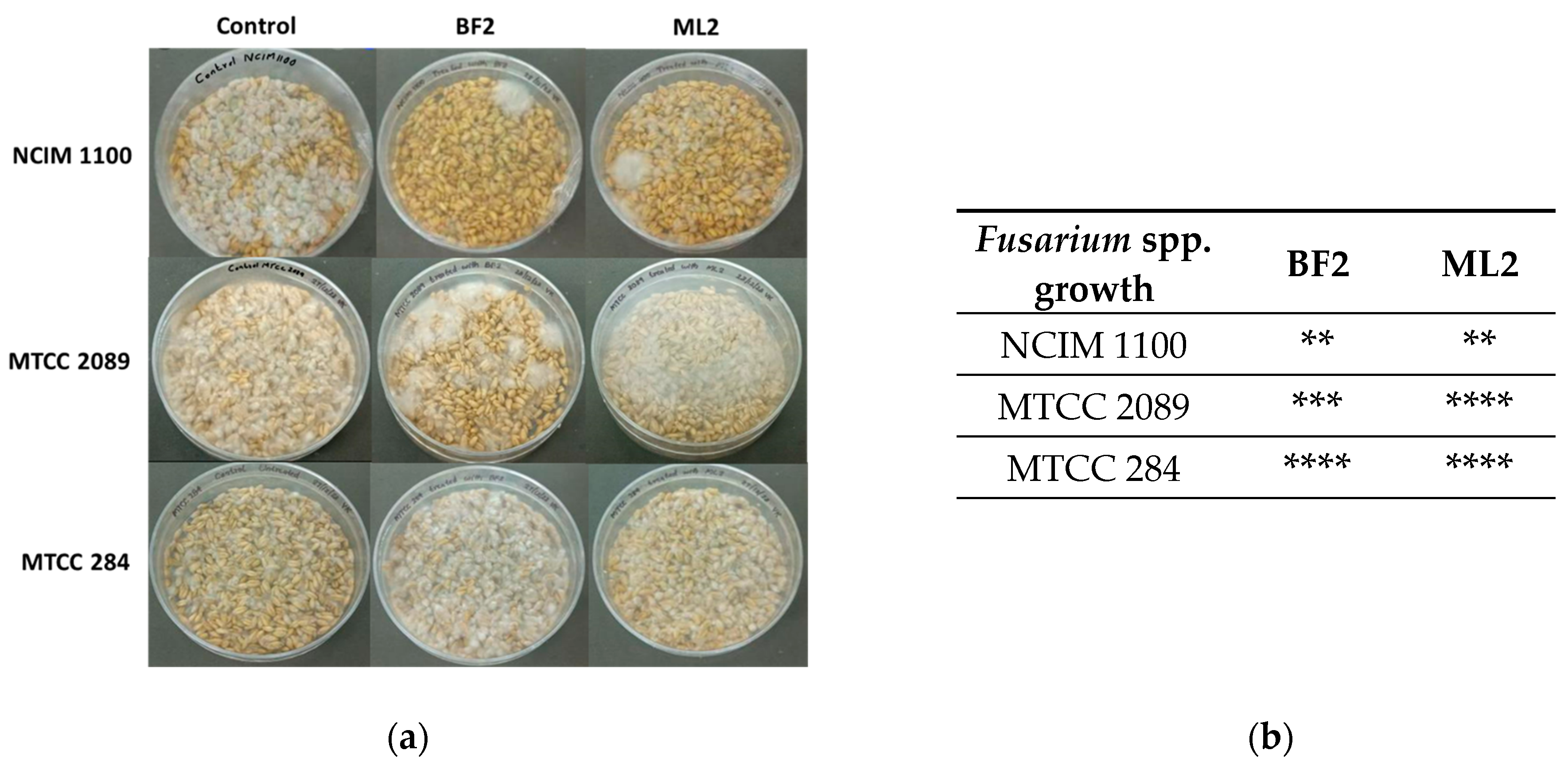 Microorganisms 13 00666 g006