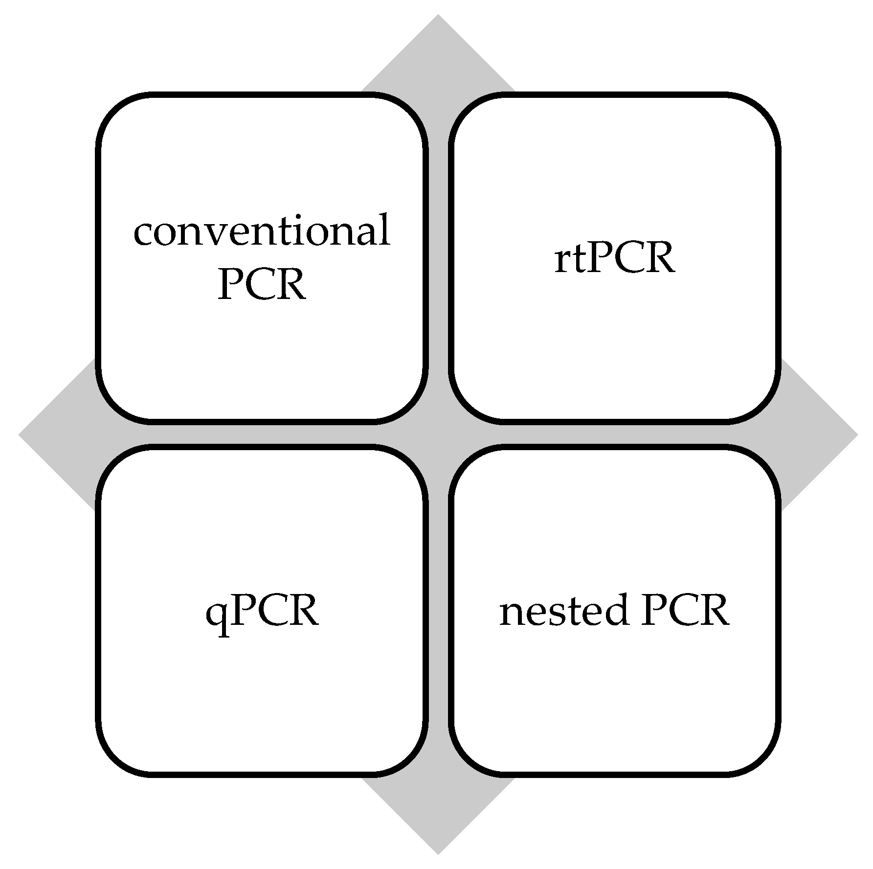 Microorganisms 13 00667 g002