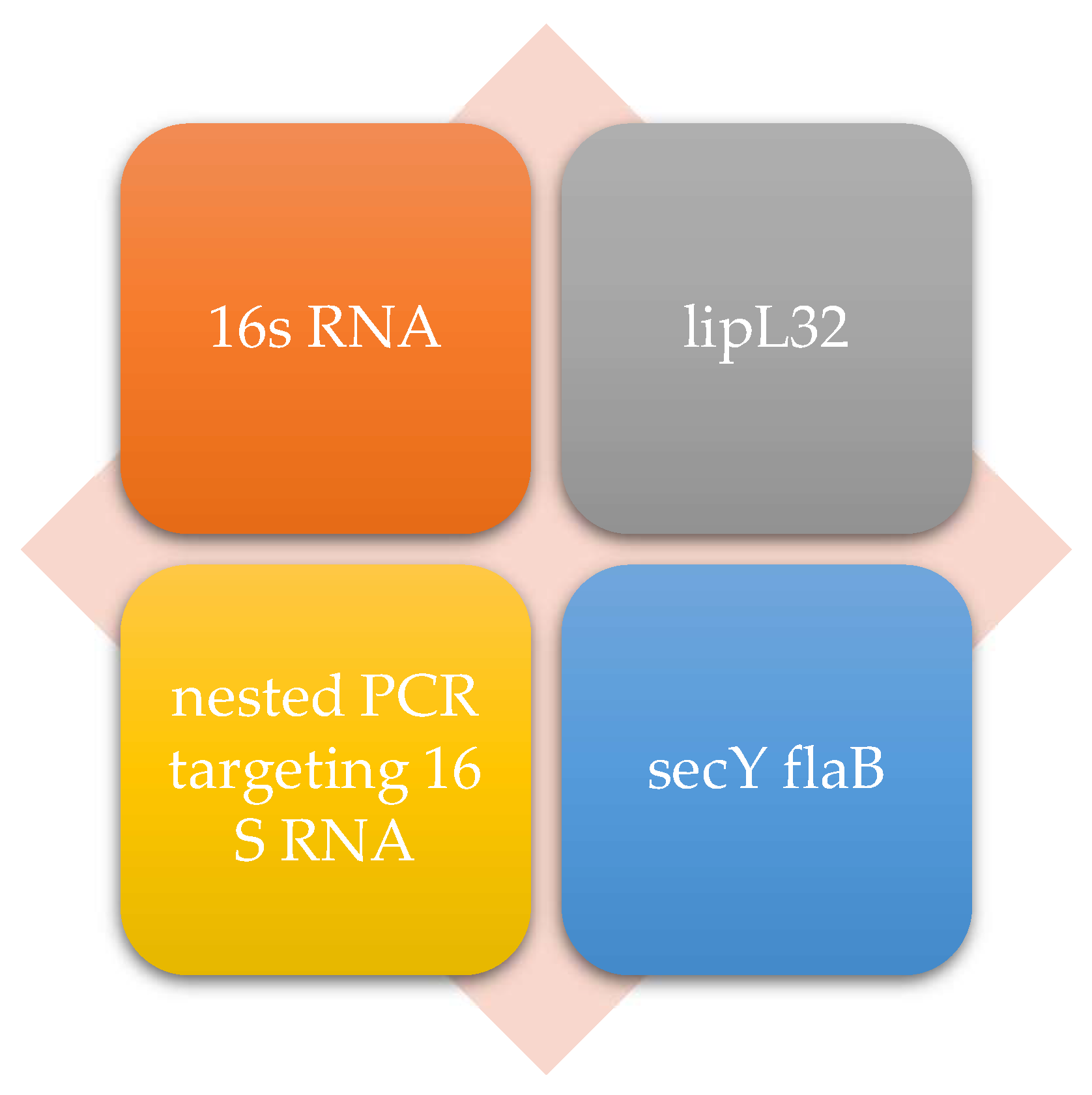 Microorganisms 13 00667 g003