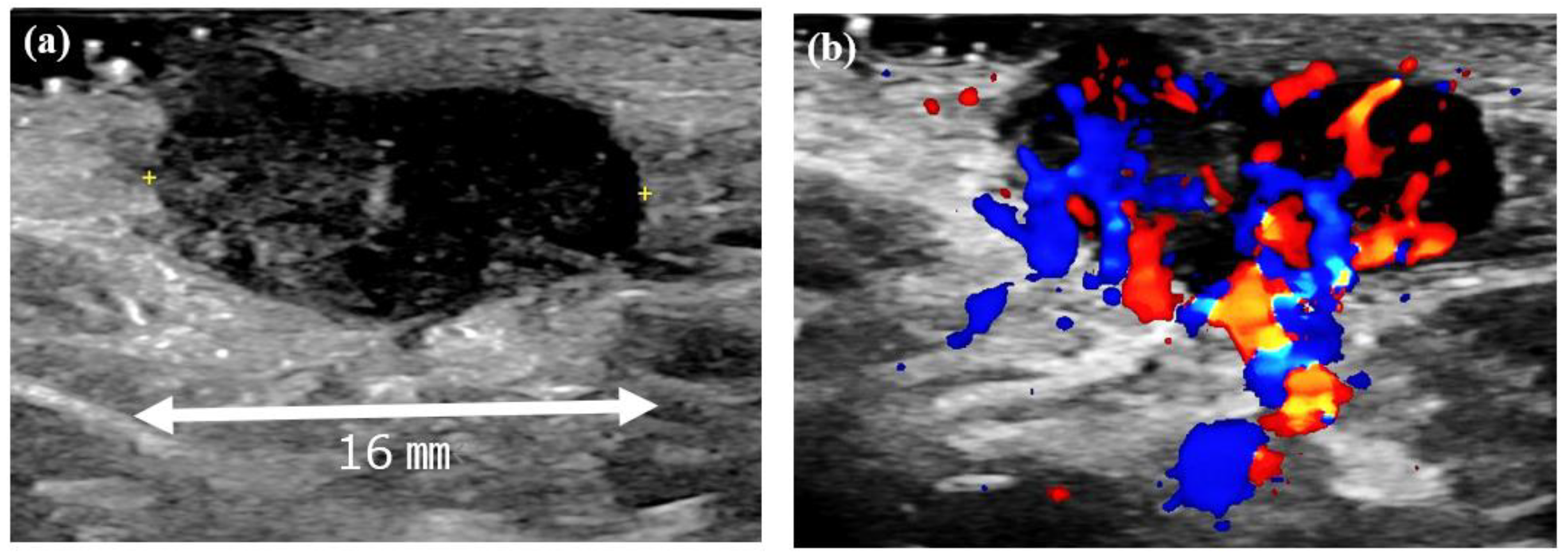 Microorganisms 13 00671 g002