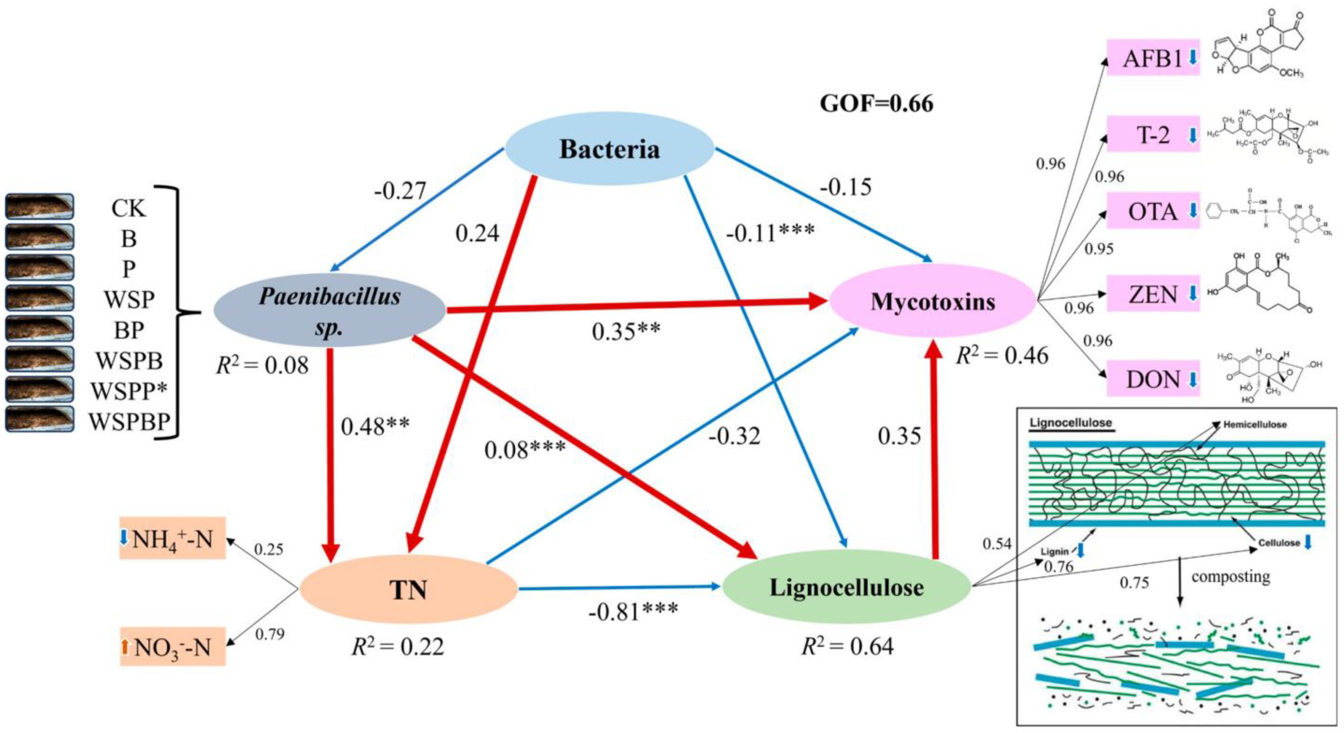 Microorganisms 13 00677 g008