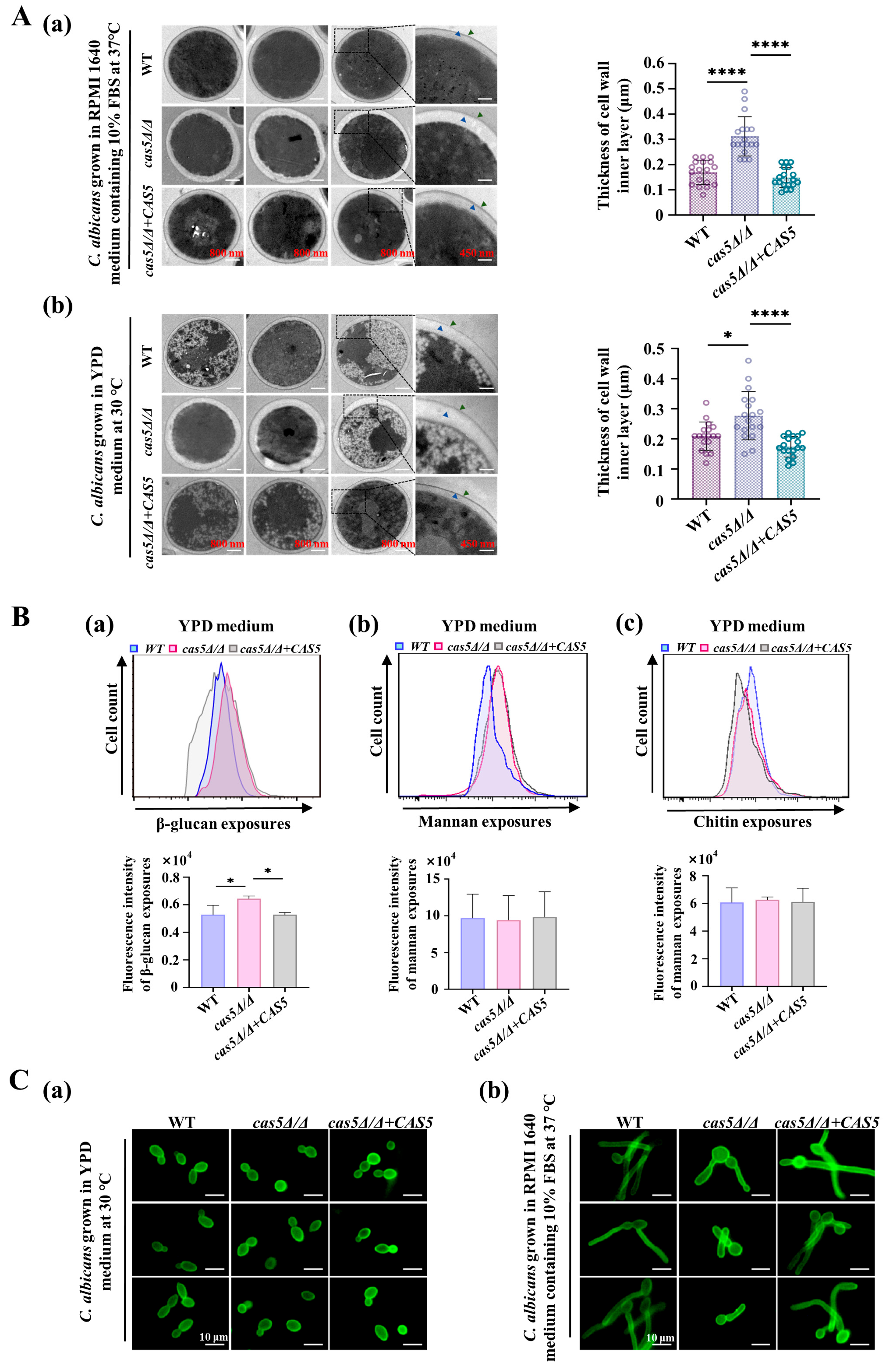 Microorganisms 13 00683 g001