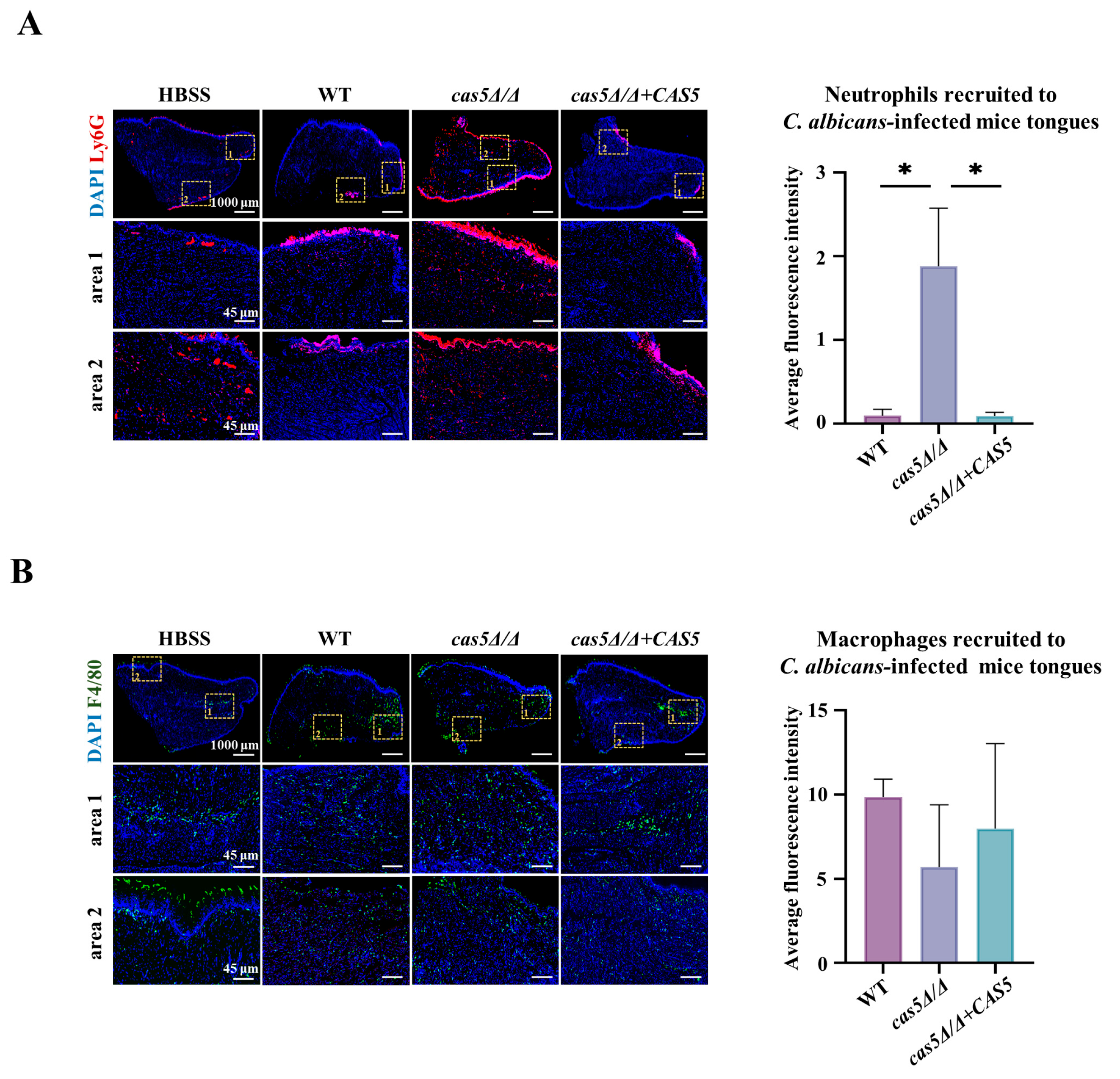 Microorganisms 13 00683 g005