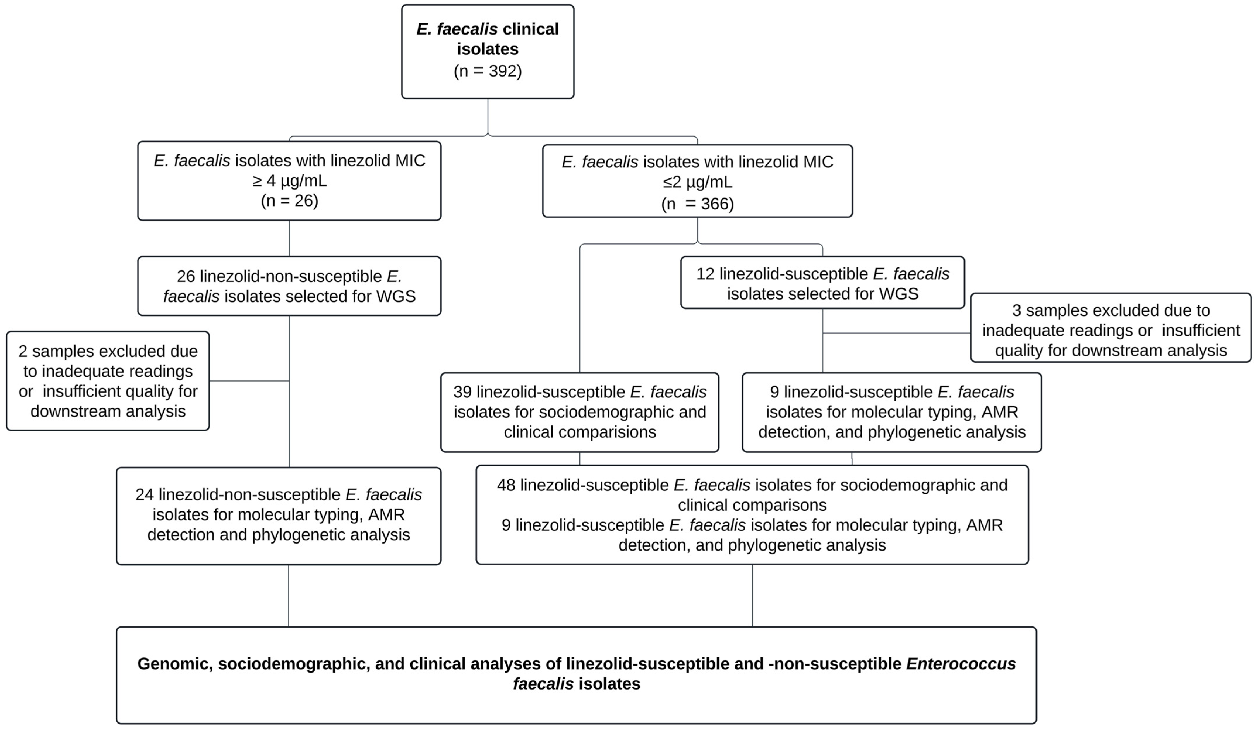 Microorganisms 13 00684 g001
