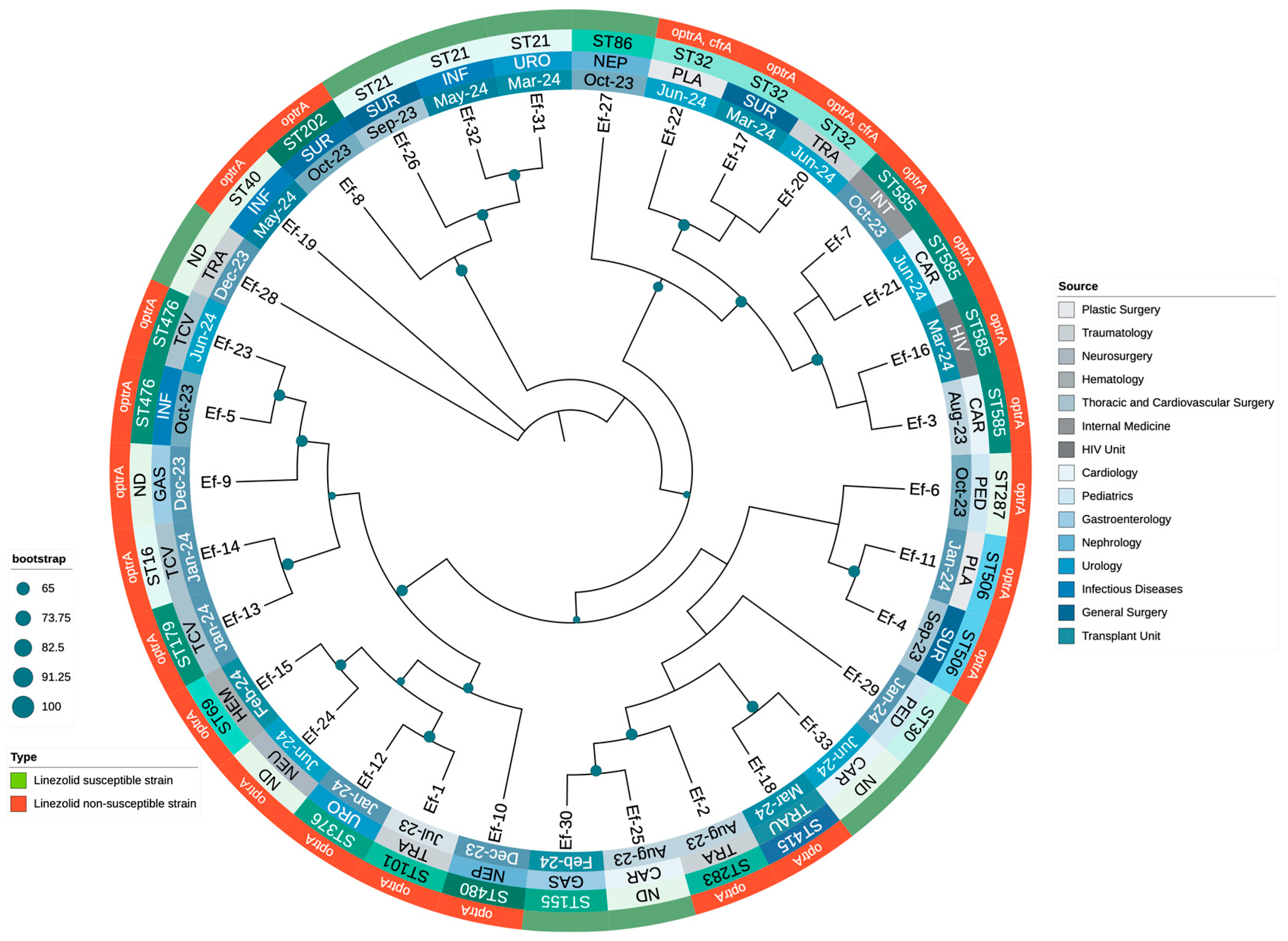 Microorganisms 13 00684 g002