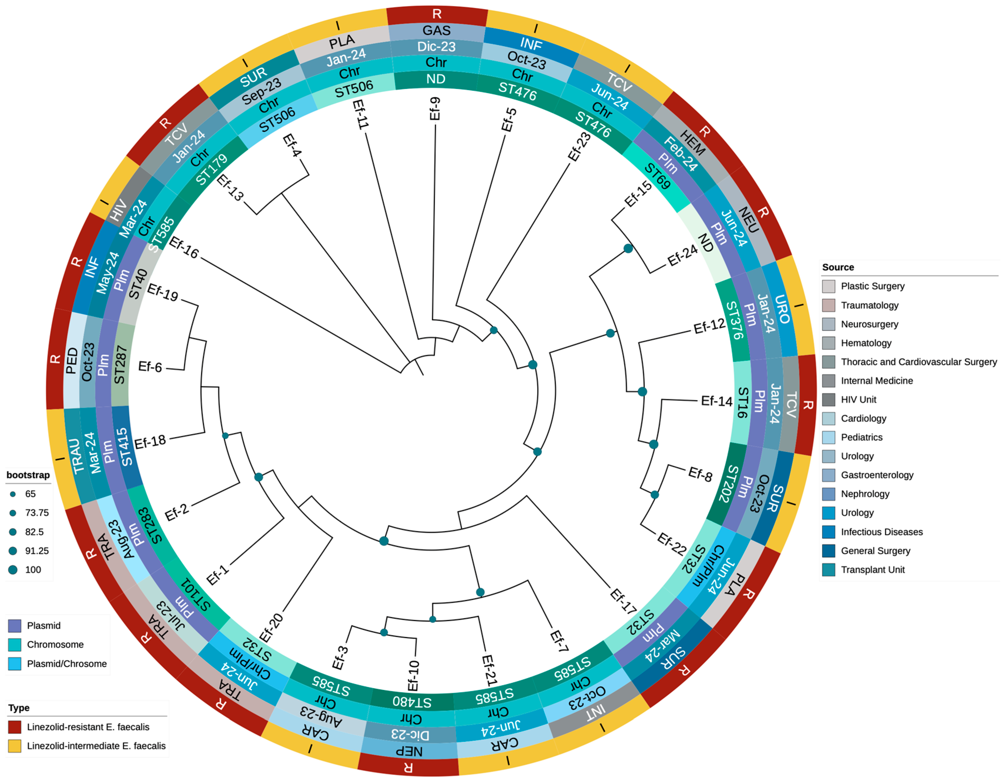 Microorganisms 13 00684 g003